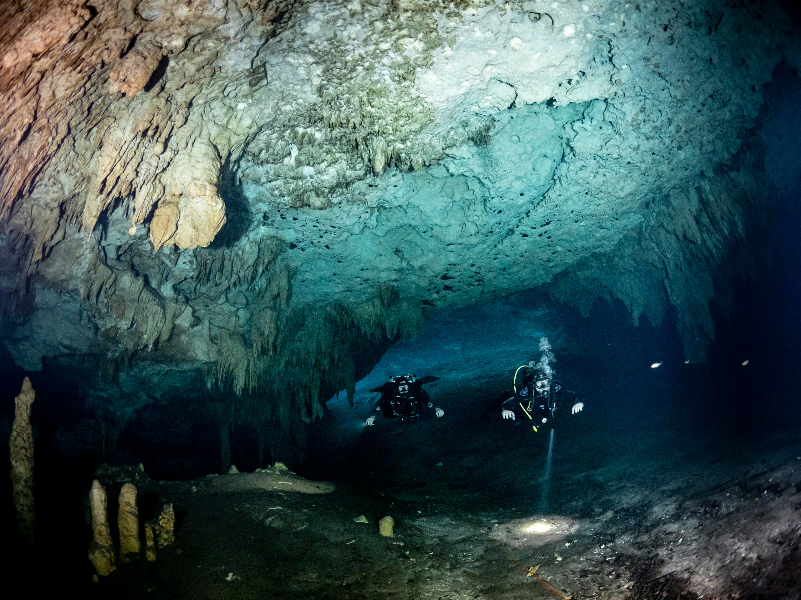 Senote. Your photographer on land and under water— Alexey Zaytsev