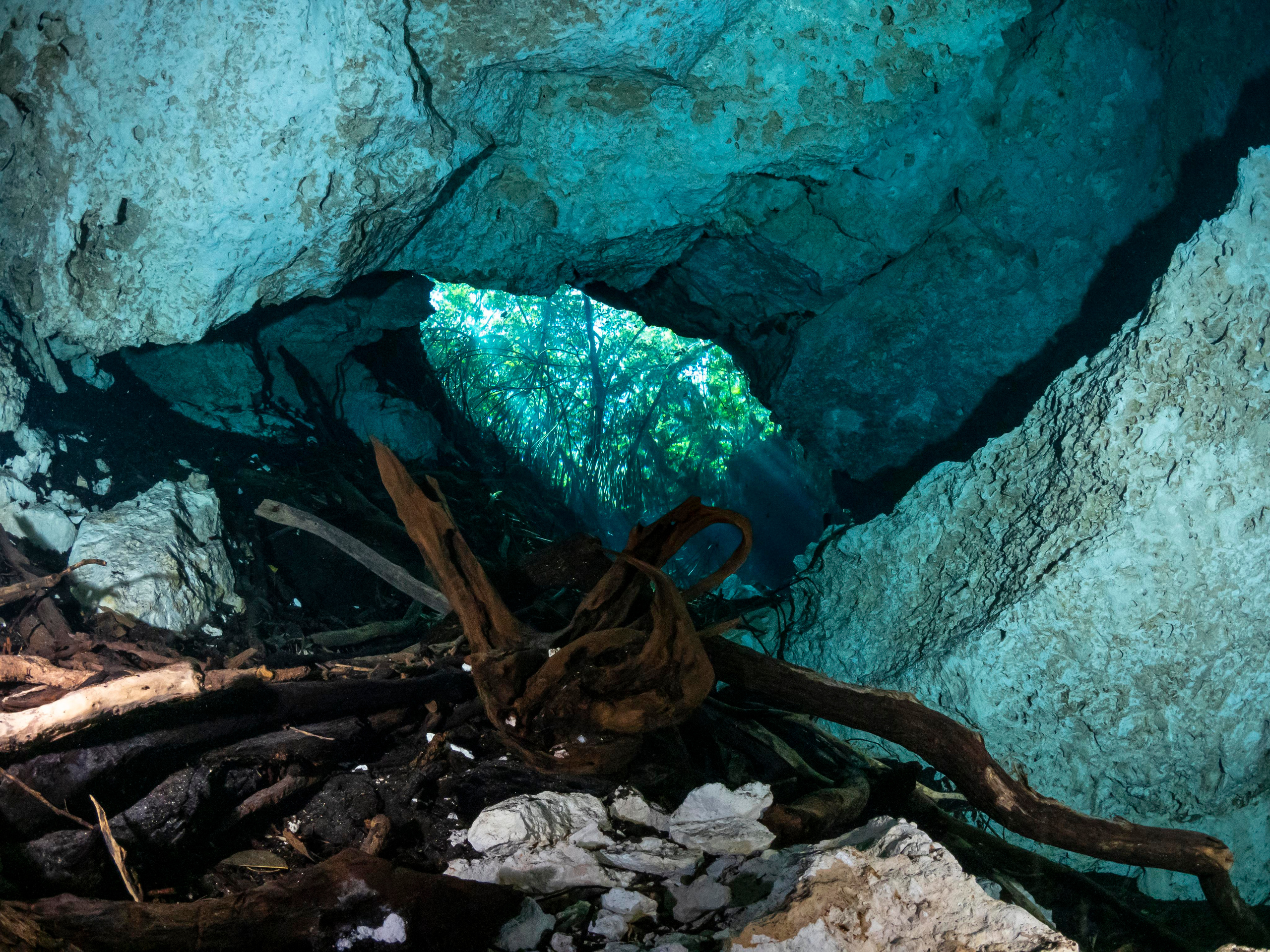 Senote. Your photographer on land and under water— Alexey Zaytsev