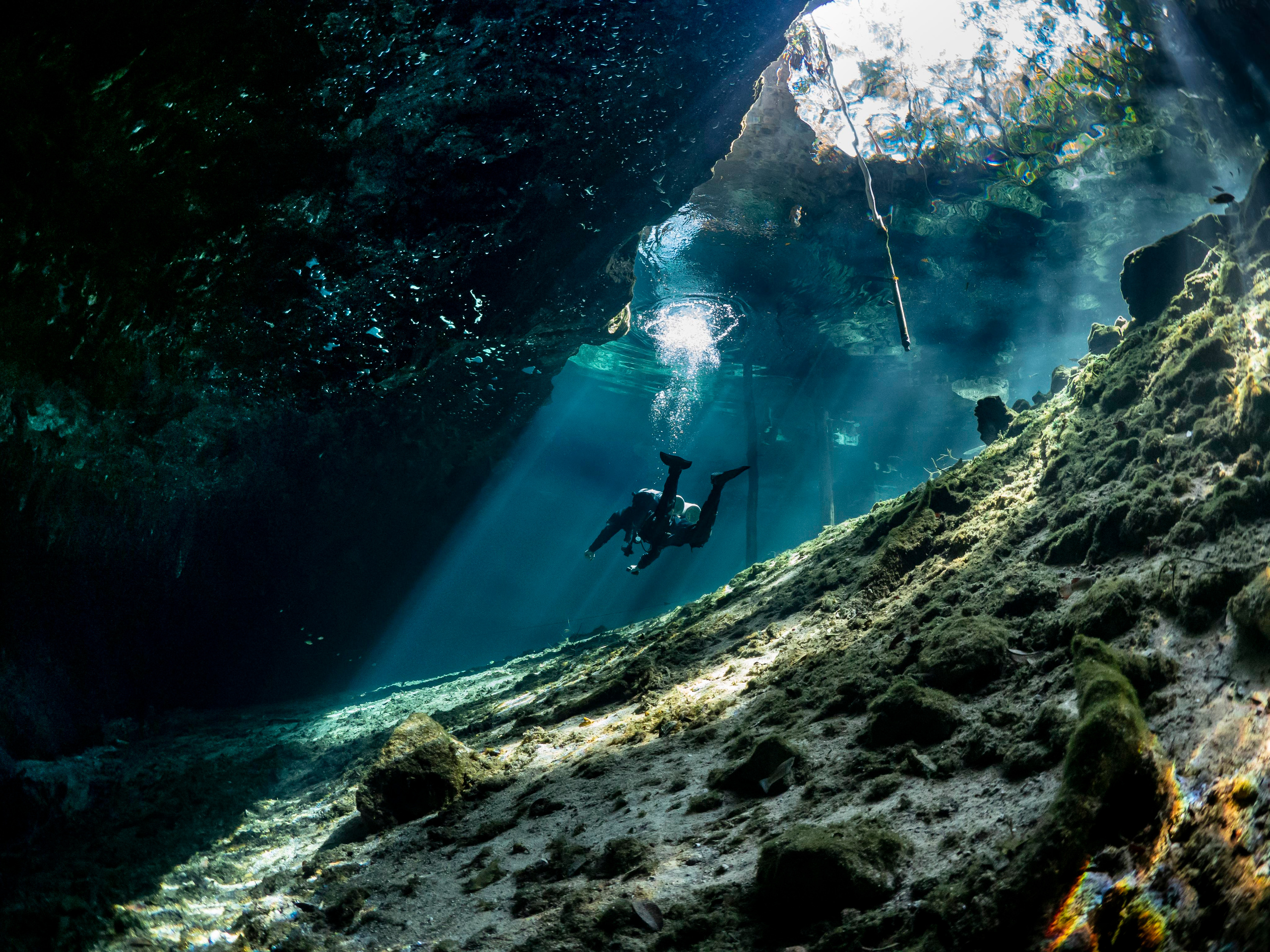 Senote. Your photographer on land and under water— Alexey Zaytsev