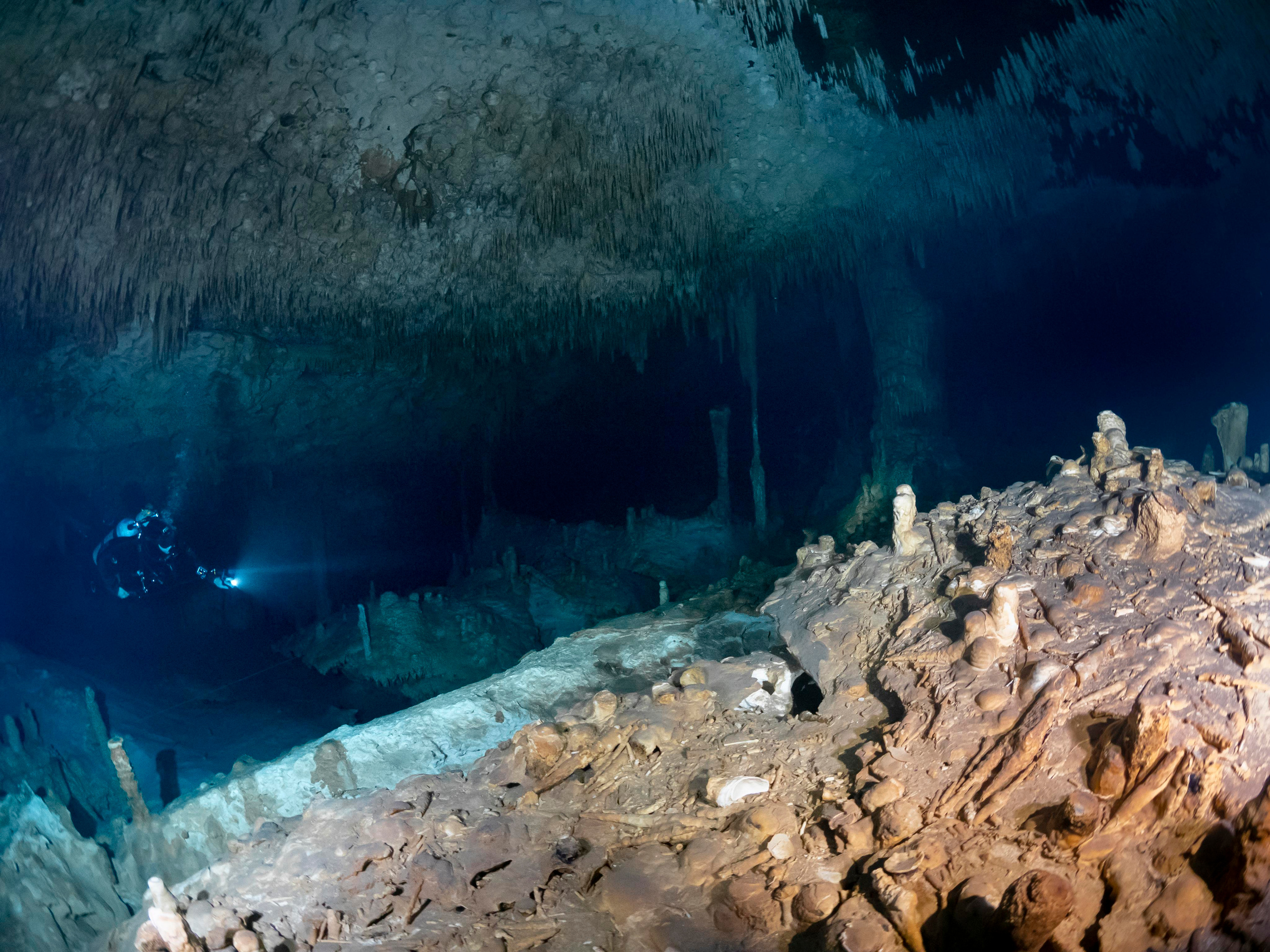 Senote. Your photographer on land and under water— Alexey Zaytsev