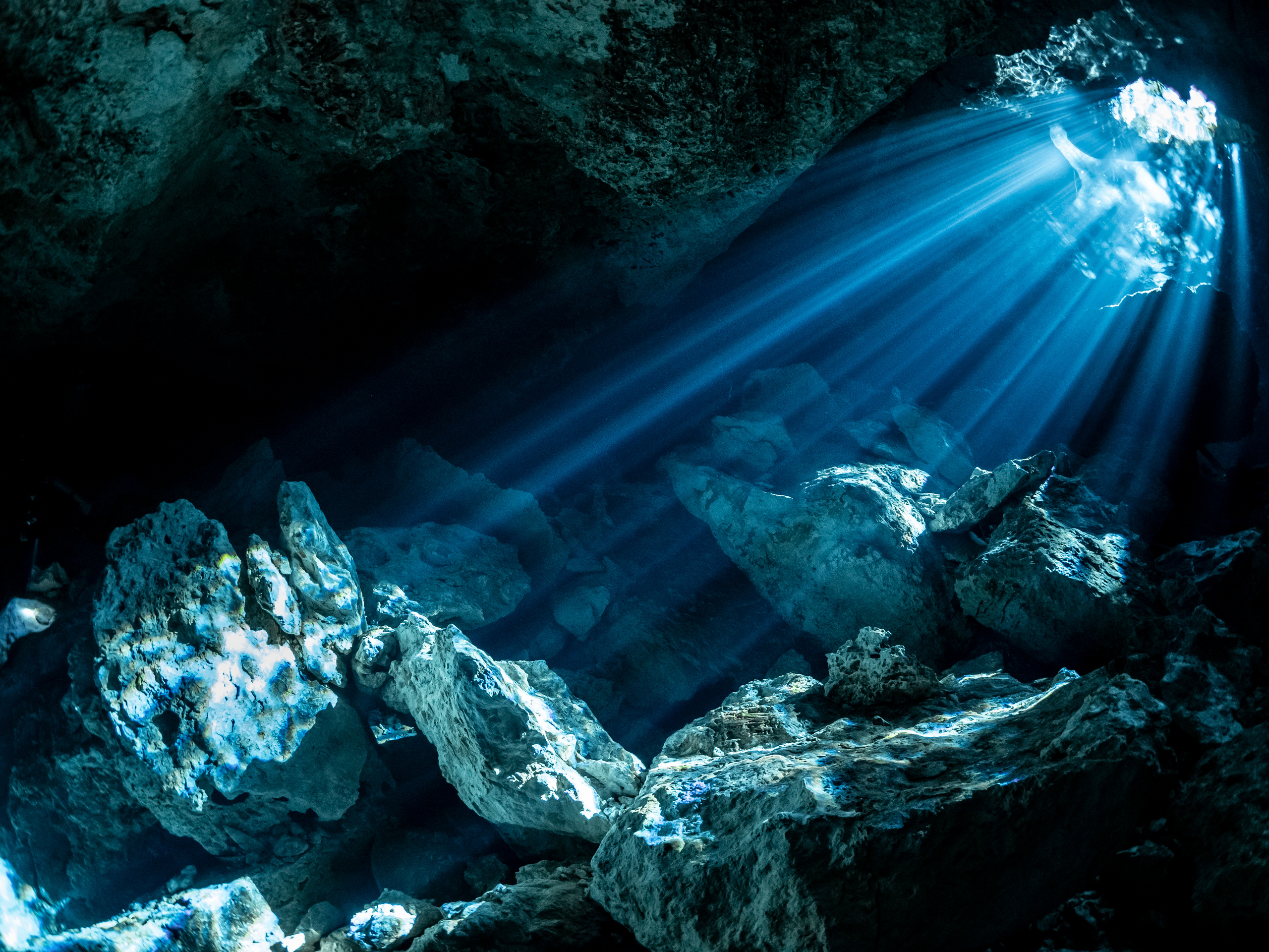 Senote. Your photographer on land and under water— Alexey Zaytsev