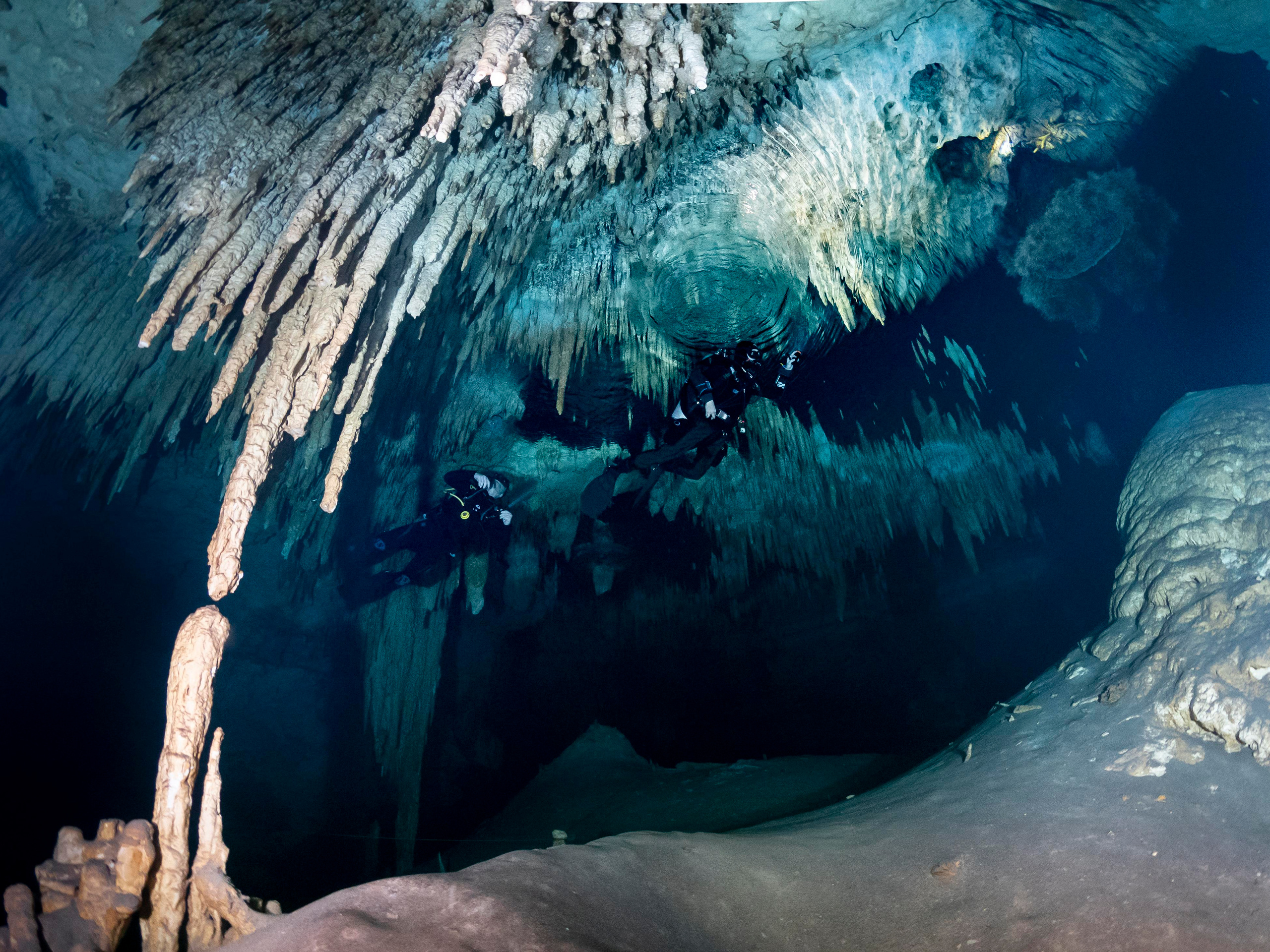 Senote. Your photographer on land and under water— Alexey Zaytsev