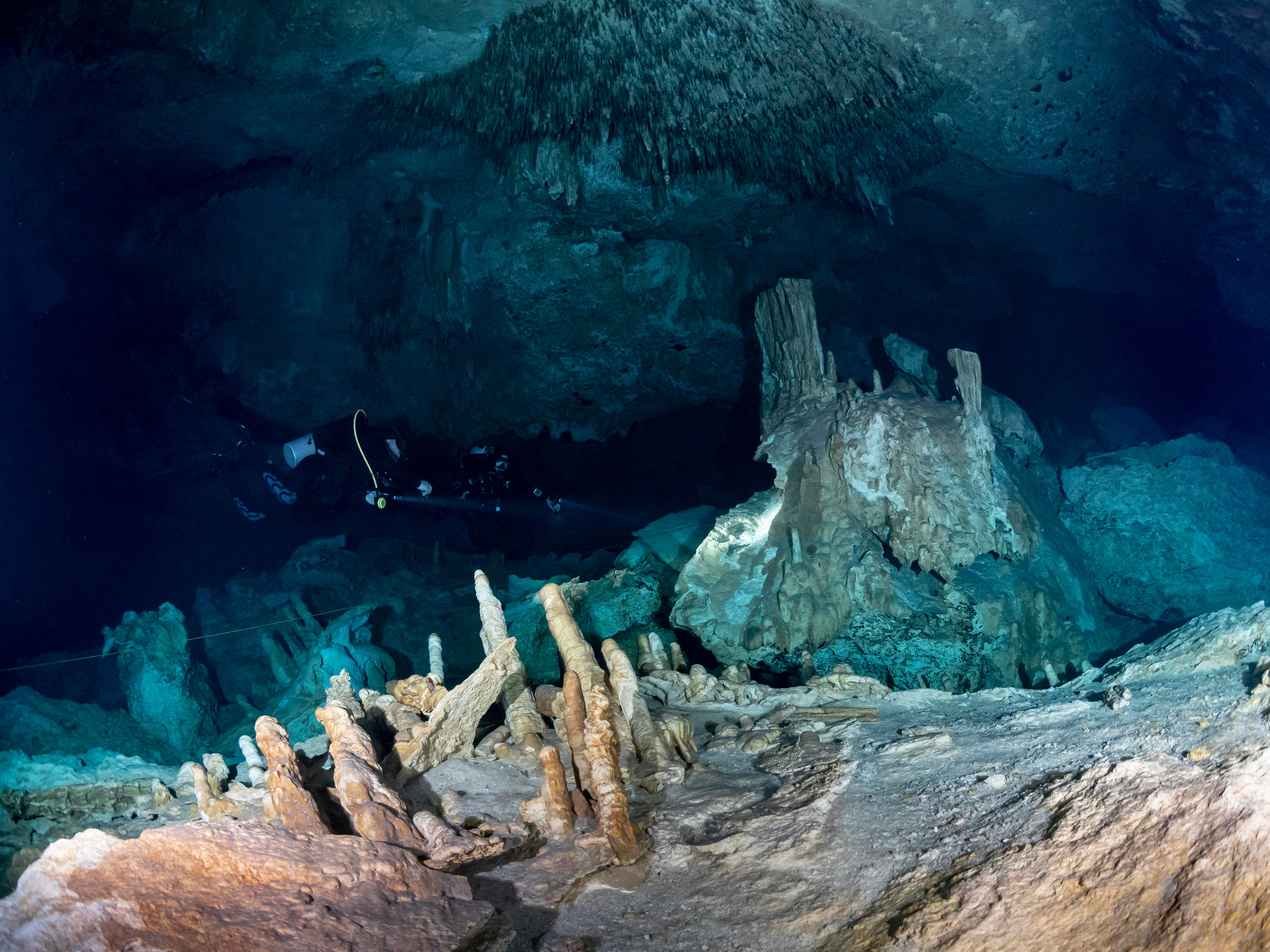 Senote. Your photographer on land and under water— Alexey Zaytsev