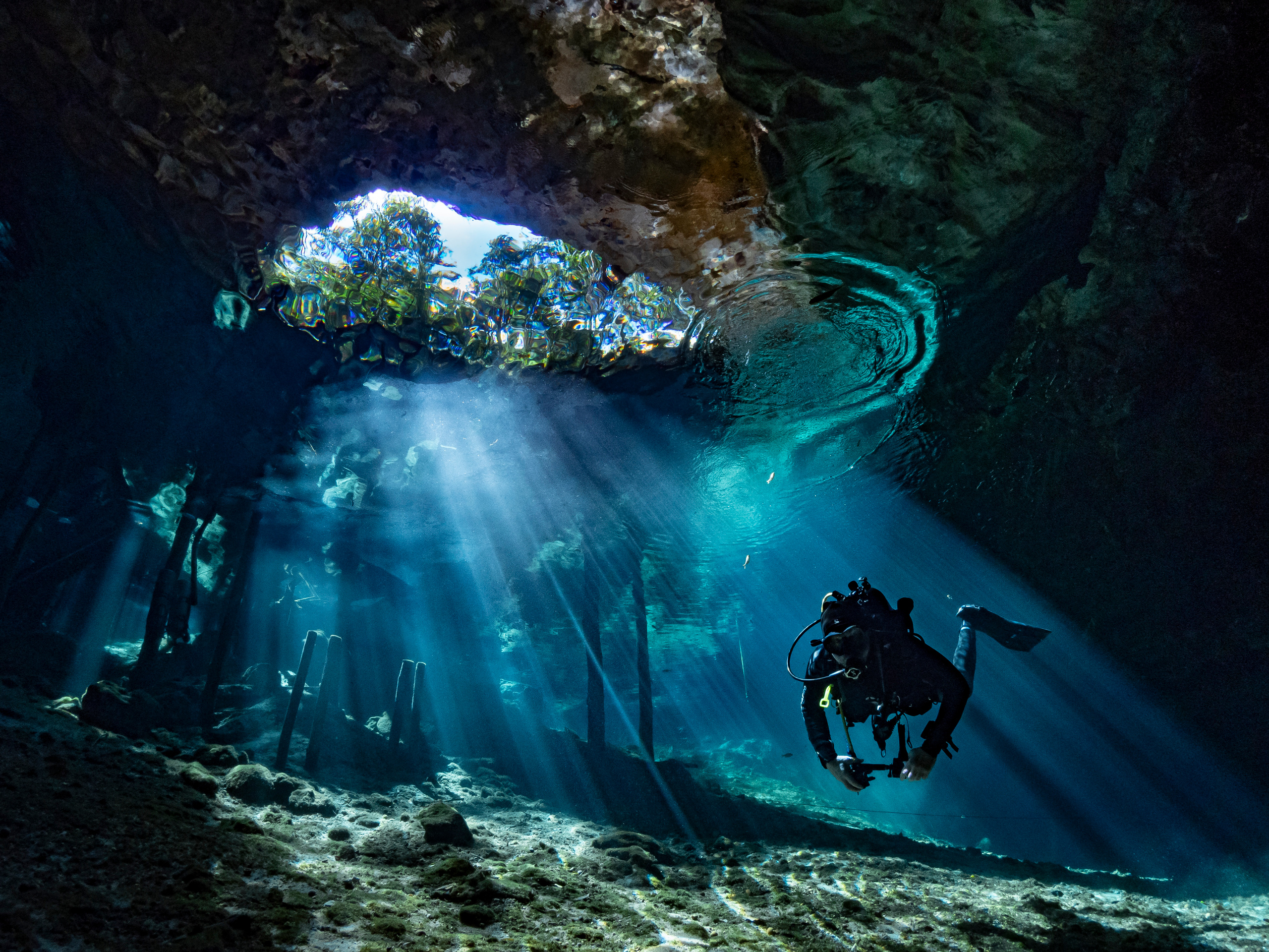 Senote. Your photographer on land and under water— Alexey Zaytsev