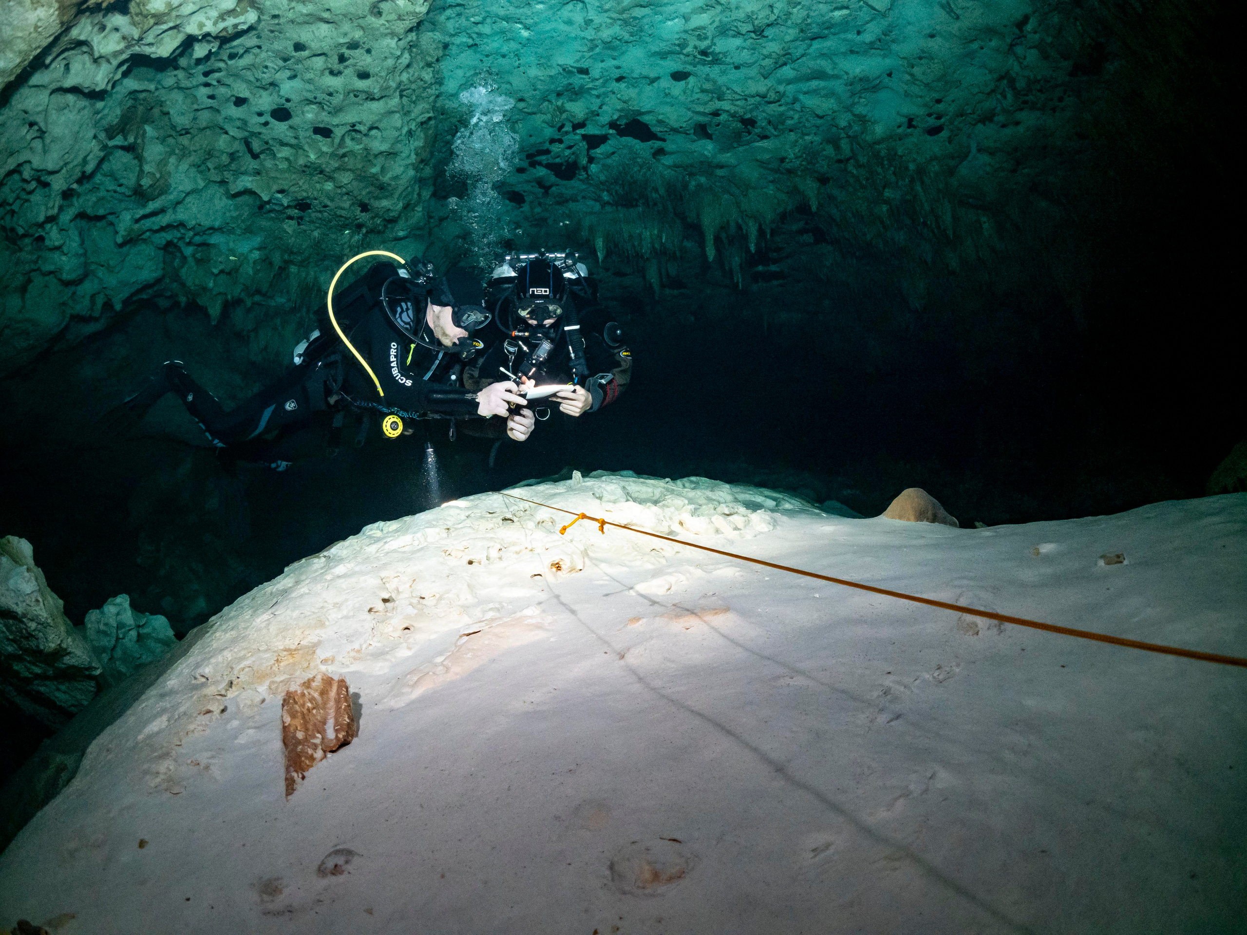 Senote. Your photographer on land and under water— Alexey Zaytsev