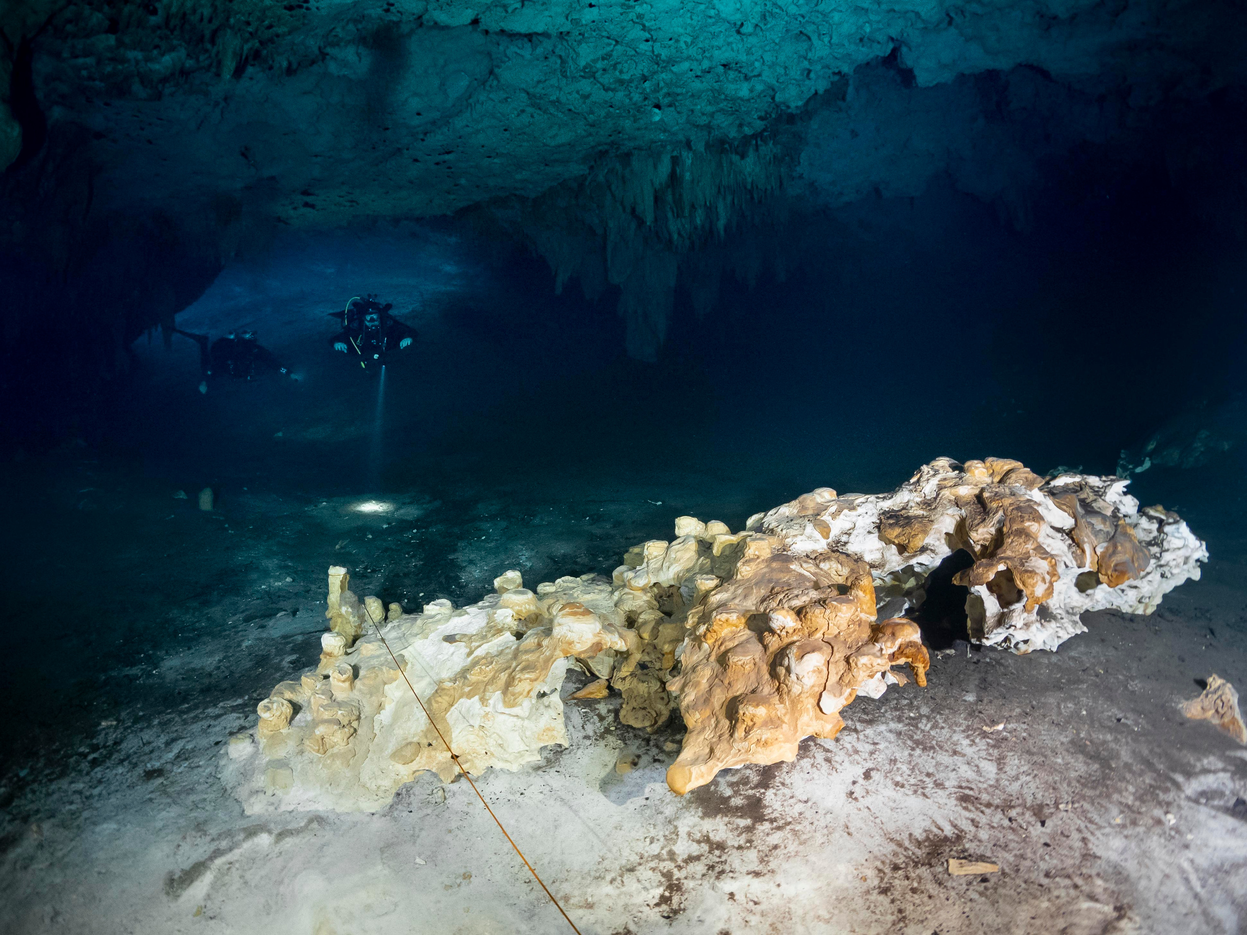 Senote. Your photographer on land and under water— Alexey Zaytsev