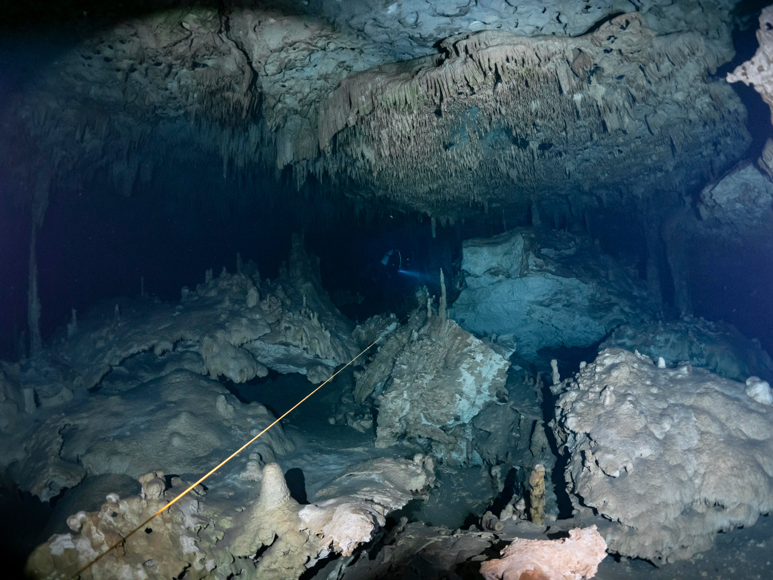 Senote. Your photographer on land and under water— Alexey Zaytsev