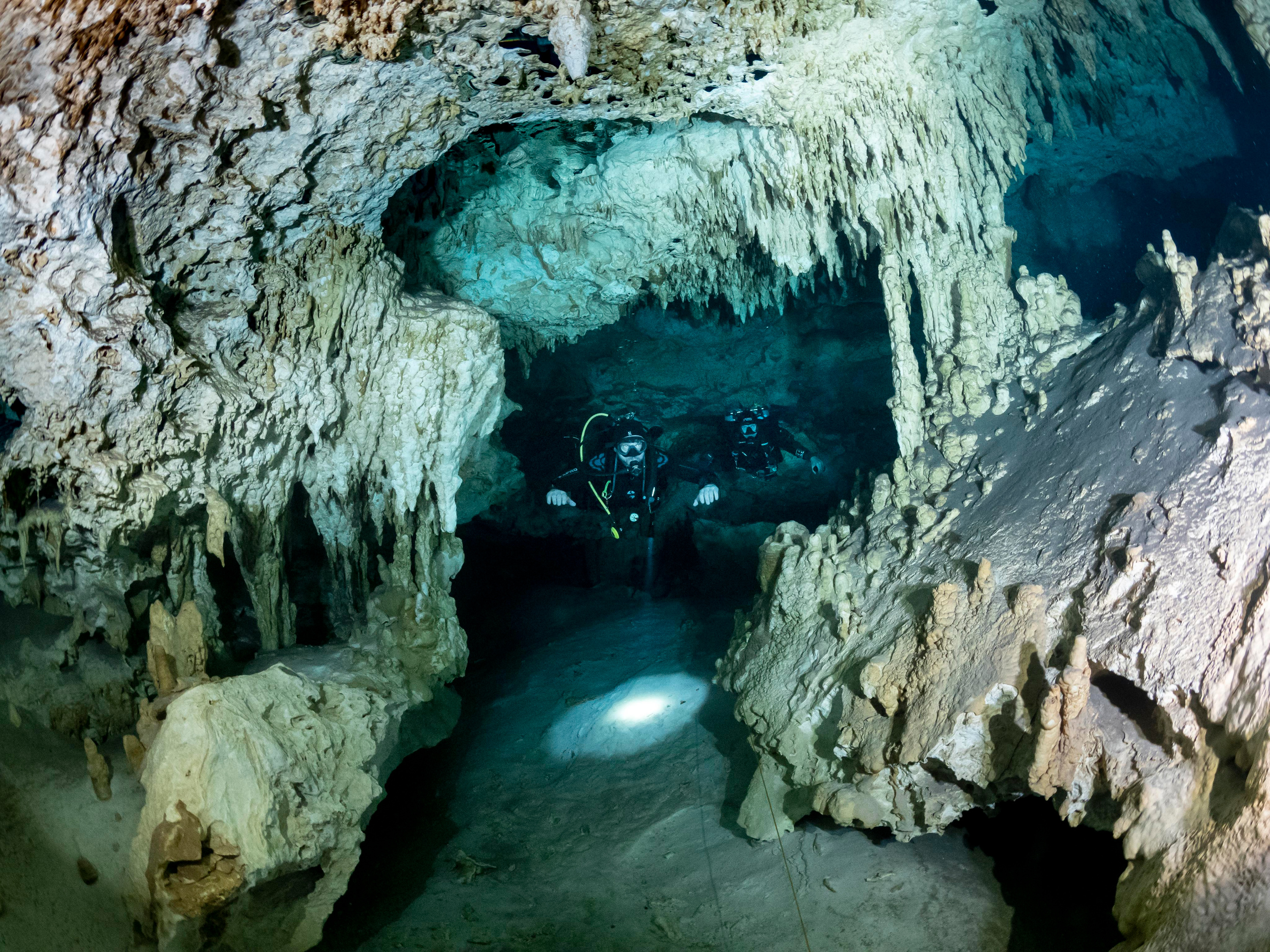 Senote. Your photographer on land and under water— Alexey Zaytsev