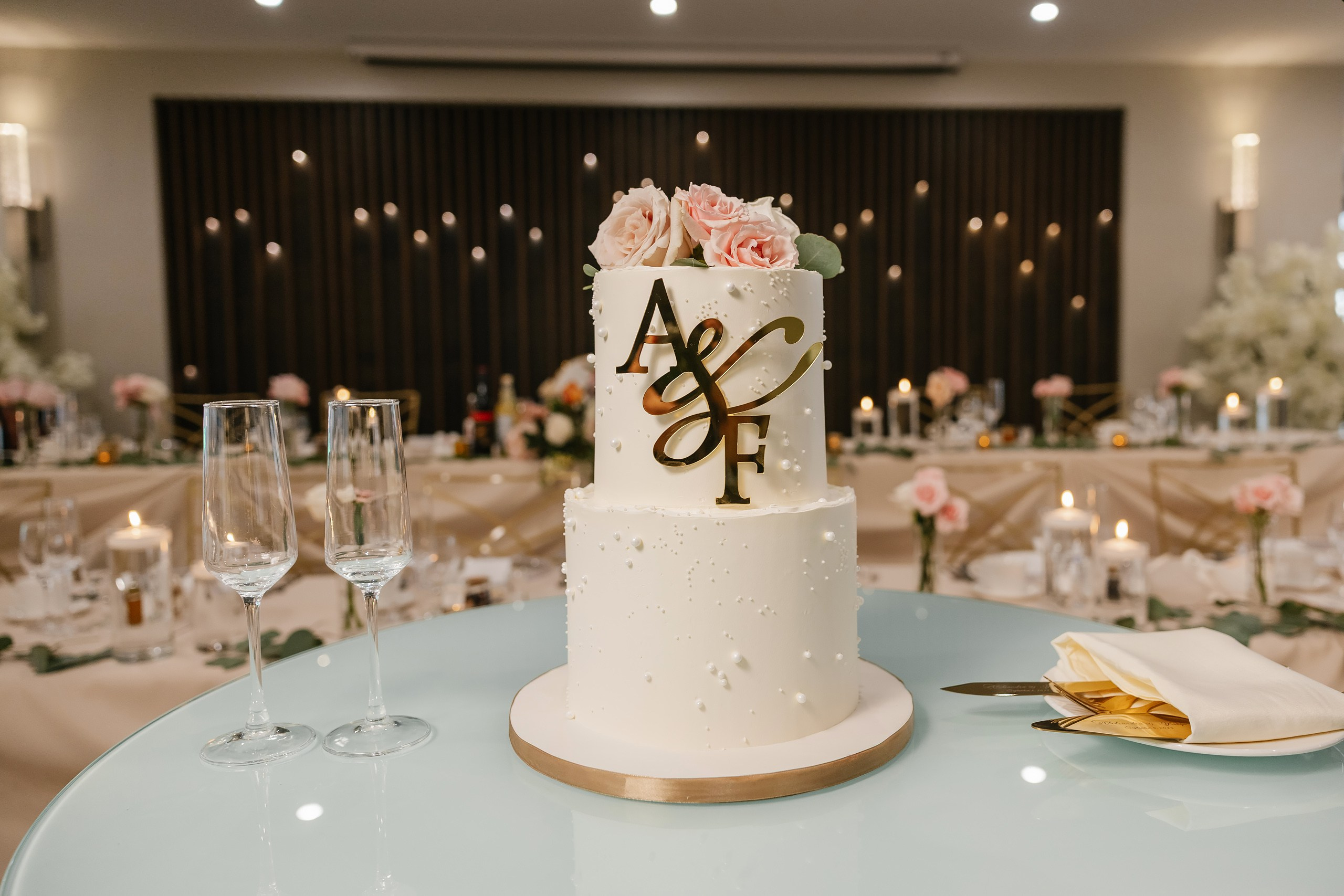 09.06.2025 Wedding. Wedding family event photographer in Chicago Nick Yushevich