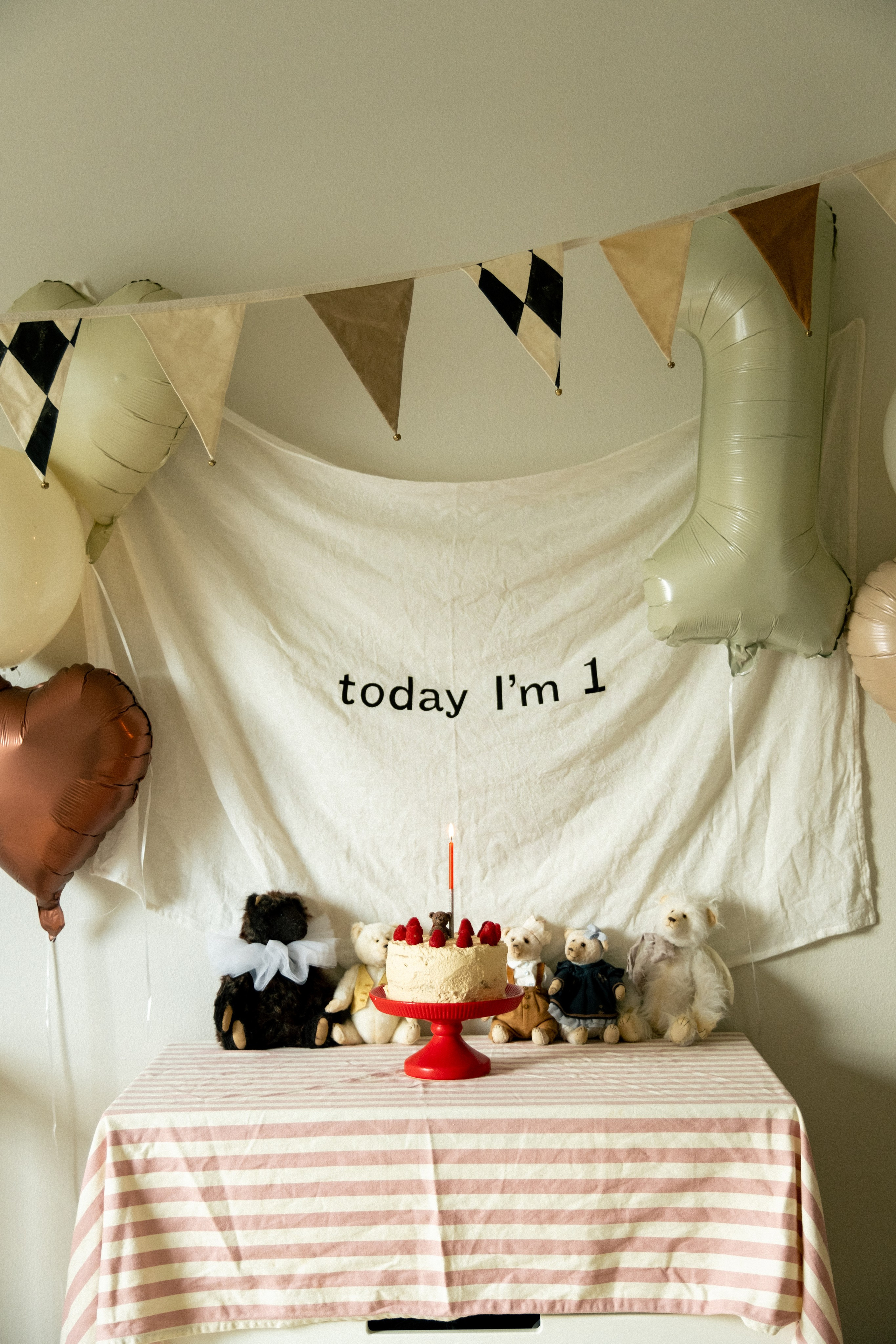 Veniamin 1 year party. Photographer Vladmir Gladkov