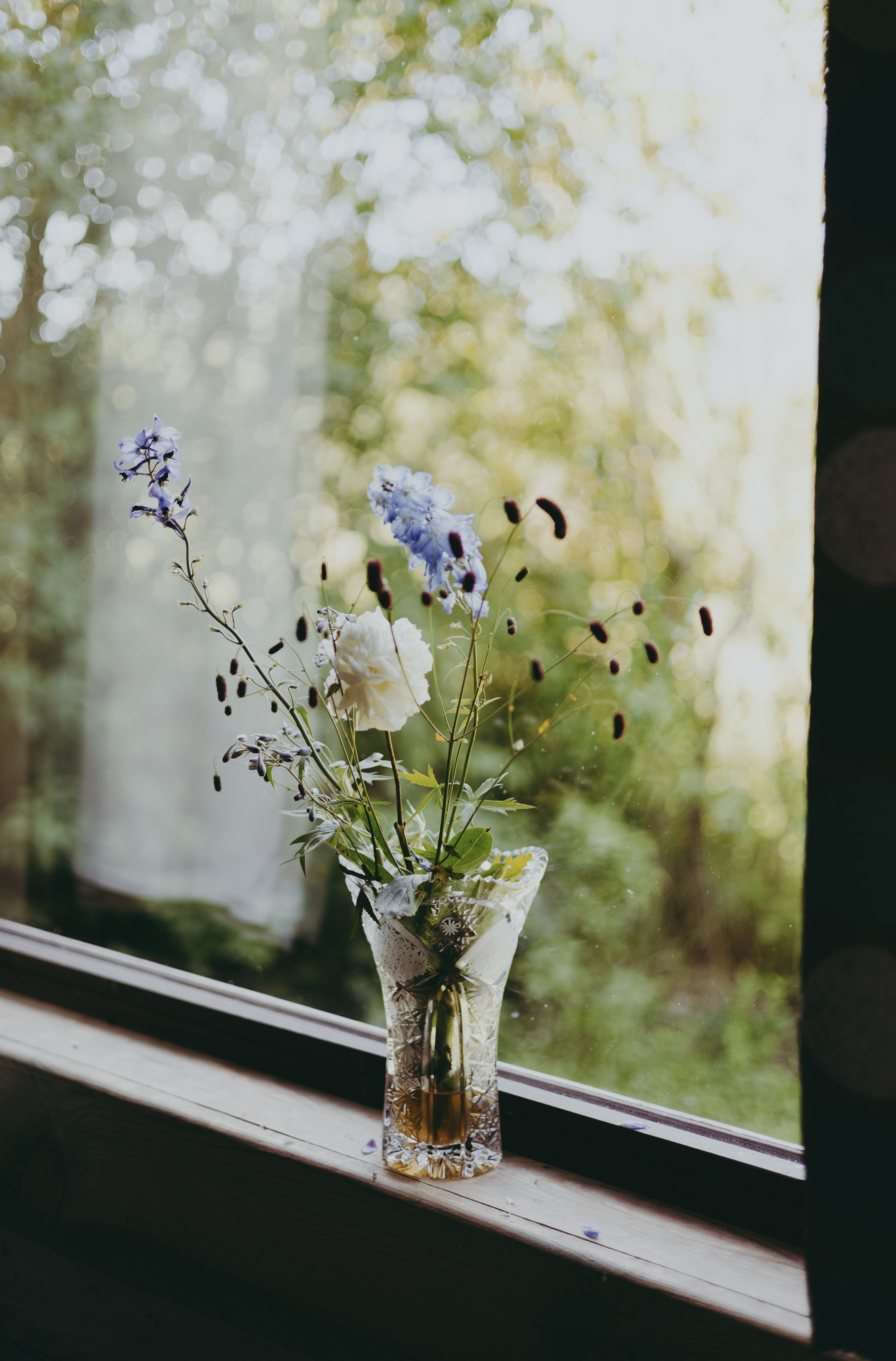 Vasara sode. Портретный фотограф Александра Самозванова
