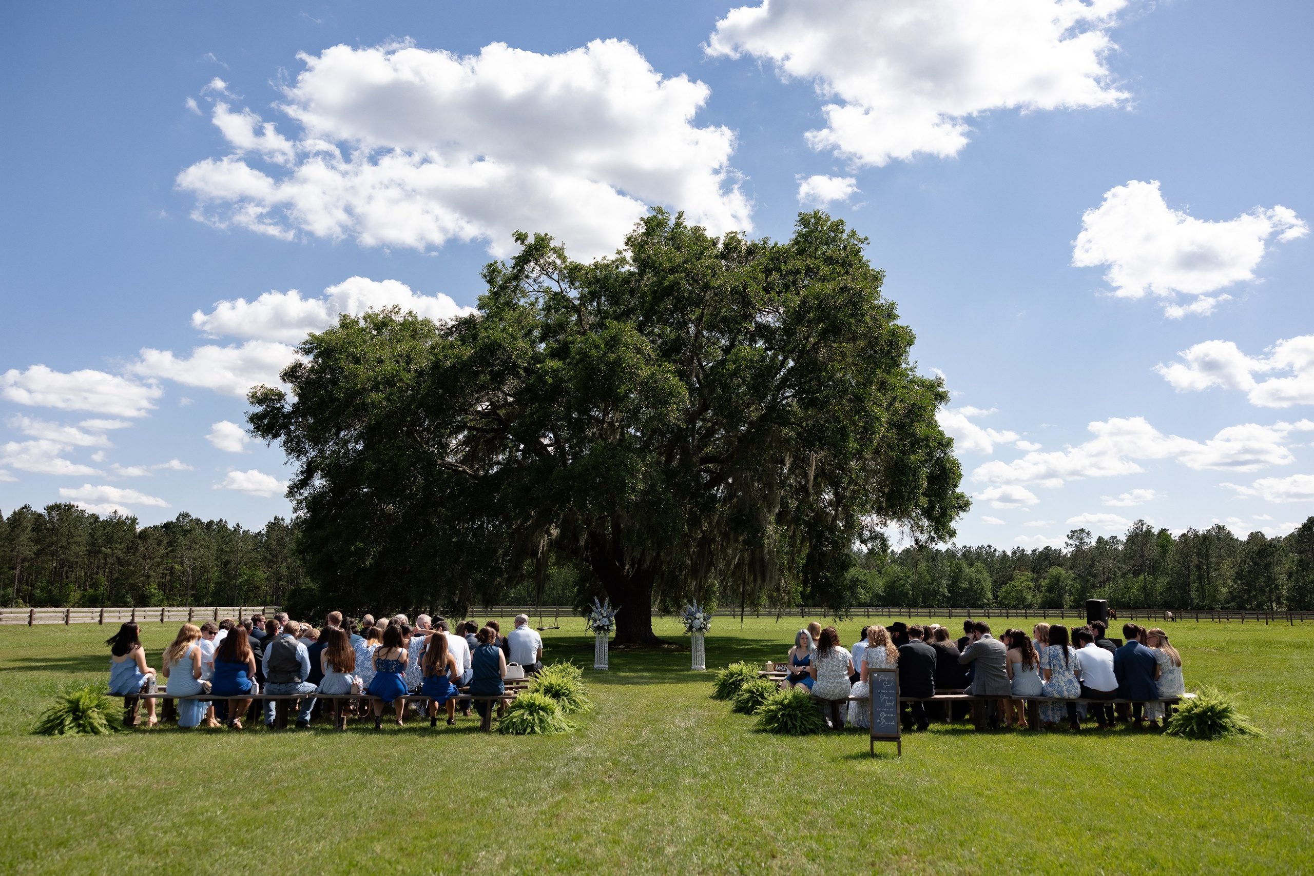 Haley and Will. Photographer Anastasia Nagibina