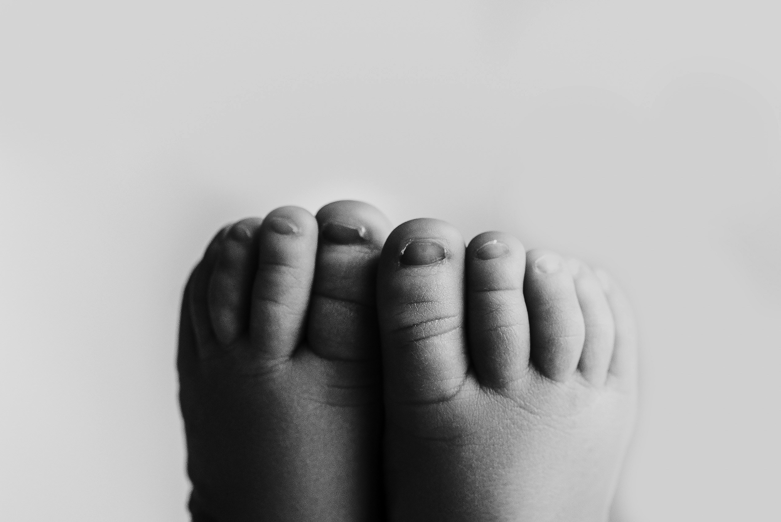 6. Nouveaux-nés. Photographe de mariage et de famille à Braga — Alexandra Mieres Photography