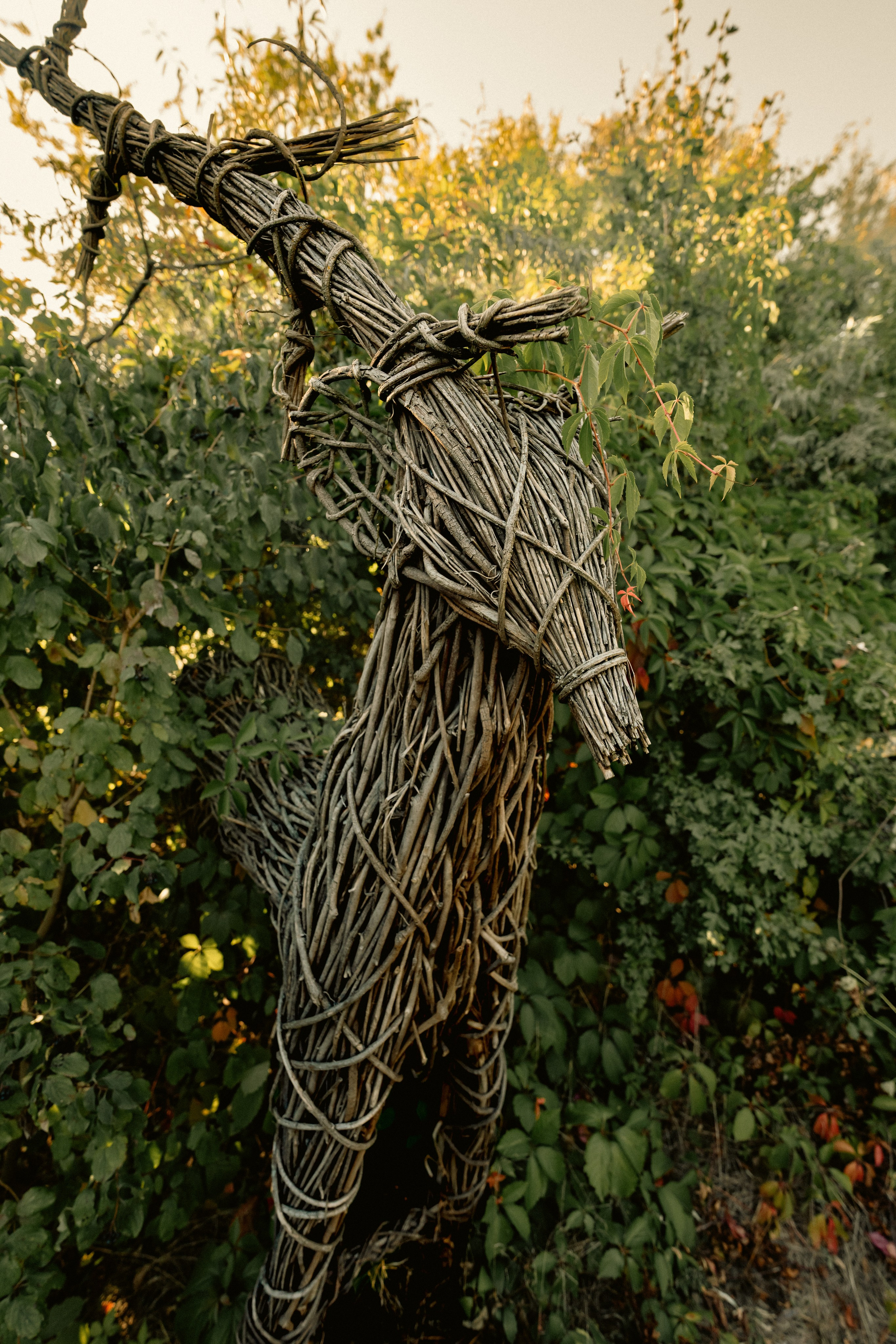 Secret Garden Rave. Stevenson.Visual.Lab — Professional Photo/Video in Berlin