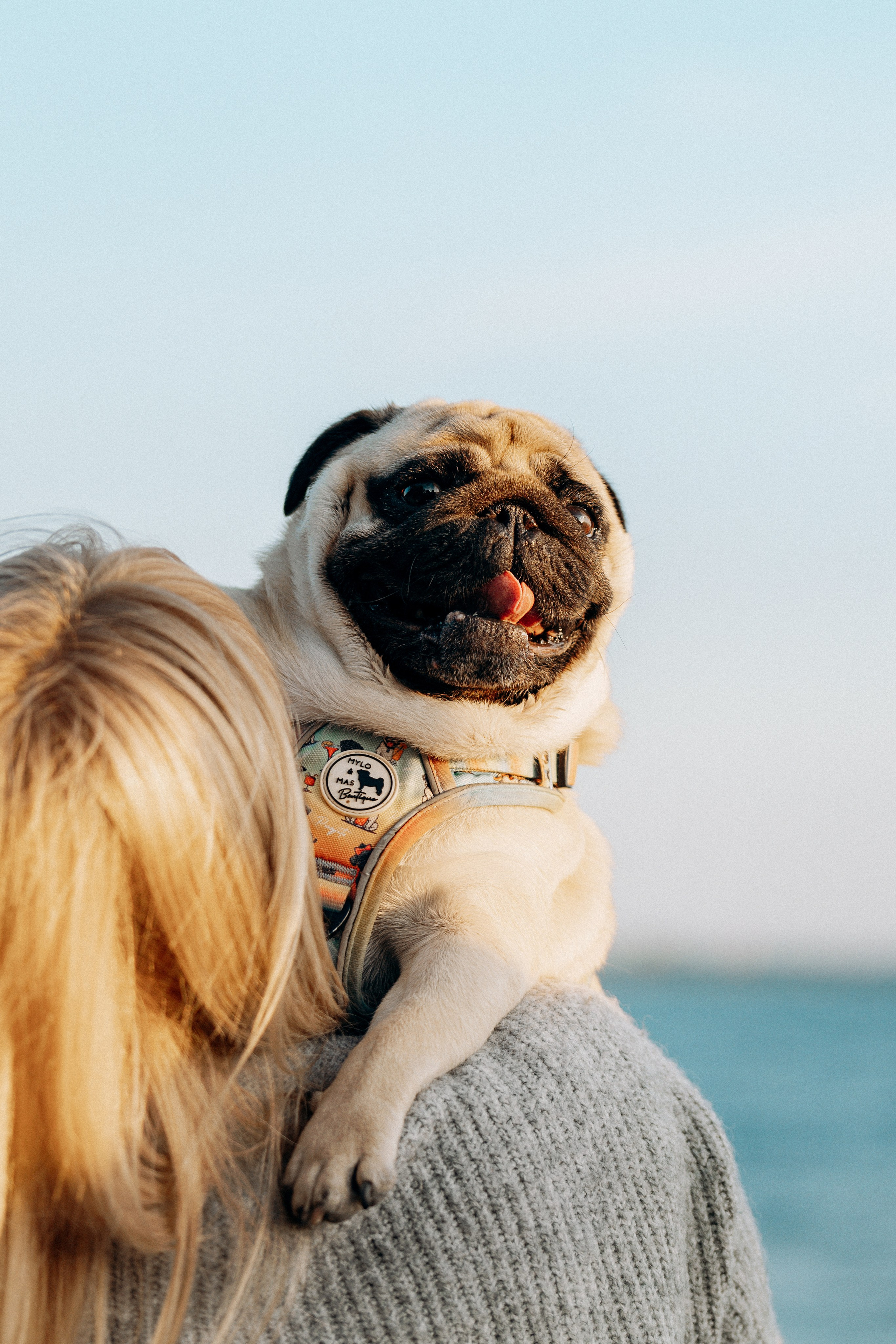 Frank, Tony, Katerina & Lev. Kat Laisaar — Pet photographer in Tallinn