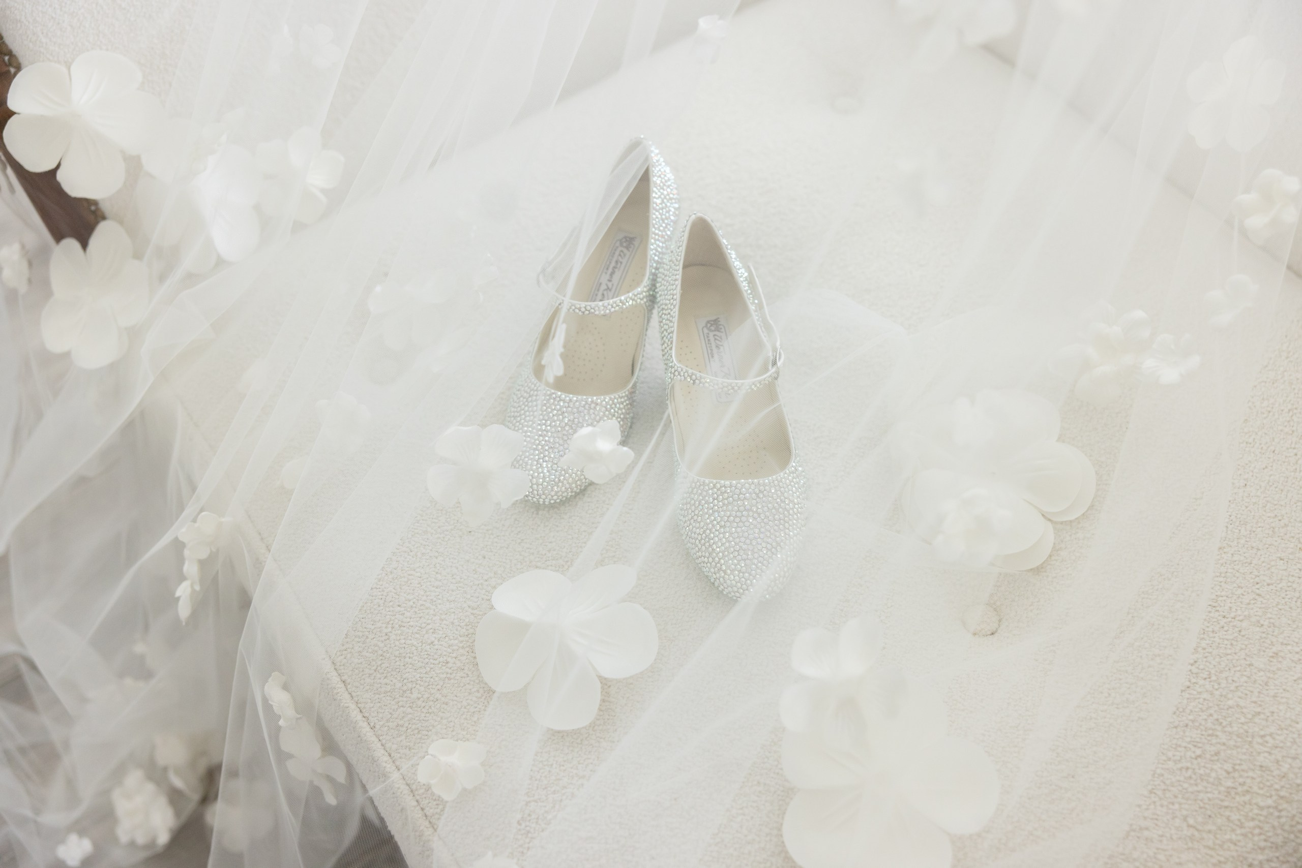 Chase & Alexander. Wedding Photo & Video