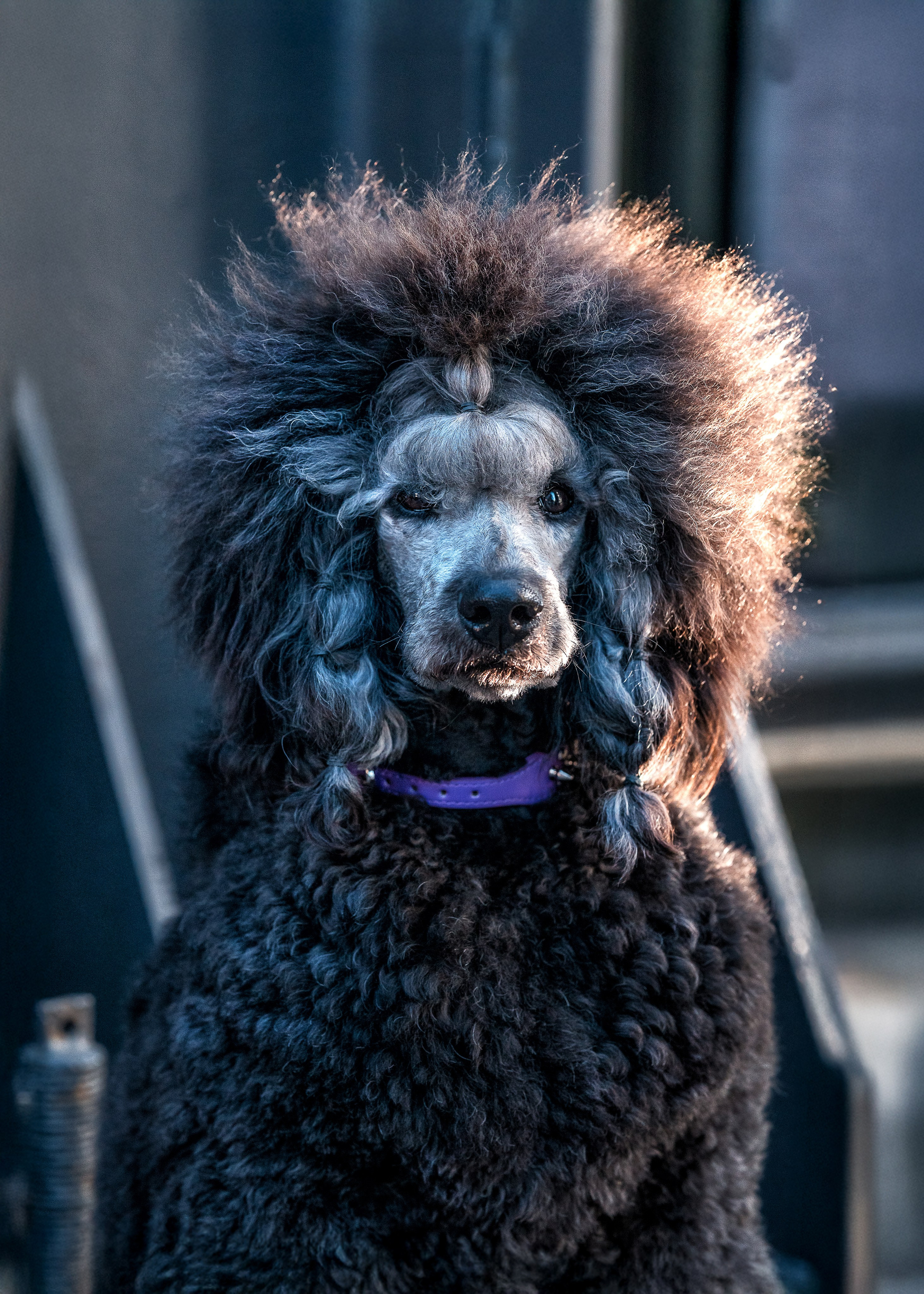 Alexandra Lord Stella. Familien, Portrait und Konzeptualfotografie in Genf, Schweiz