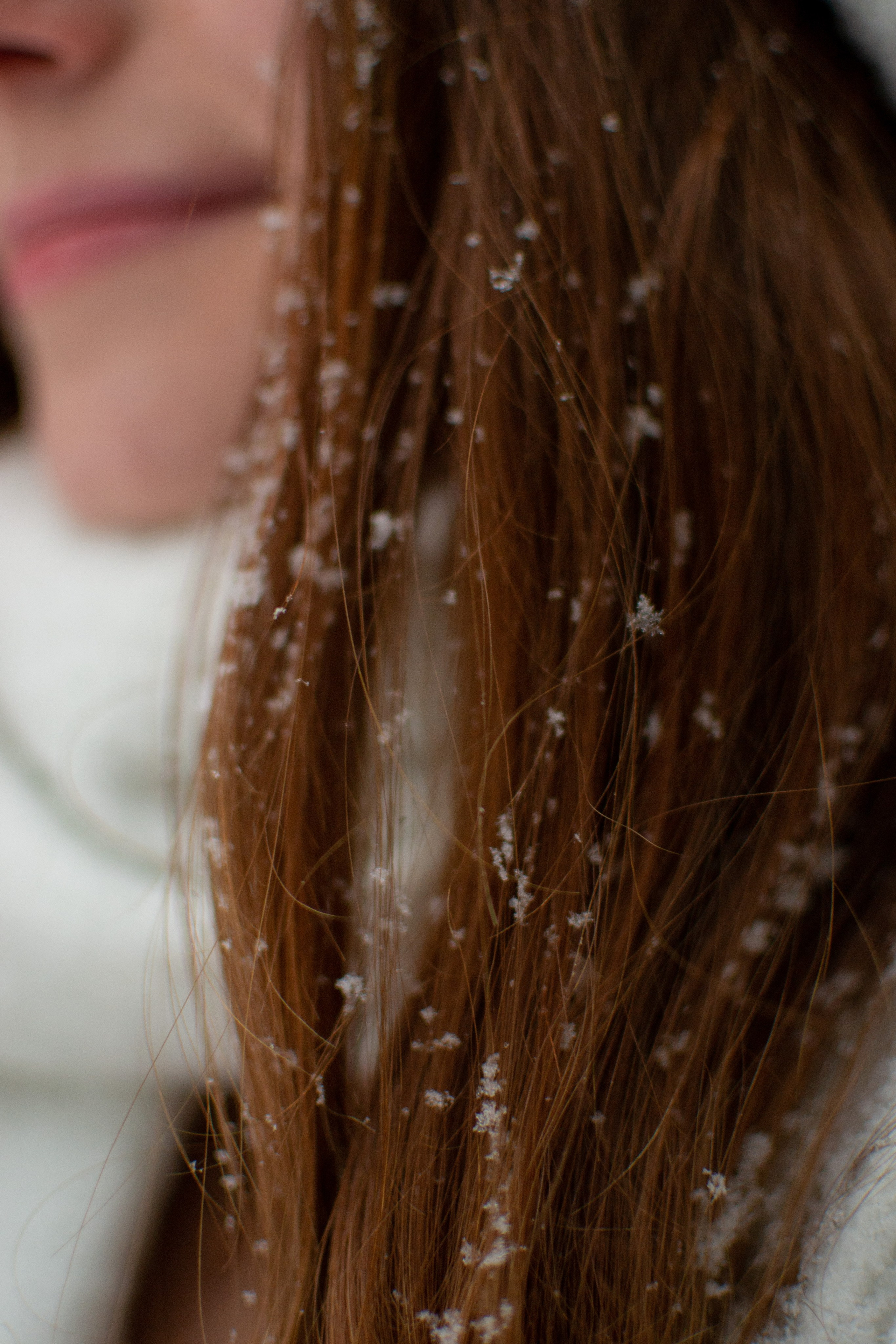 Margarita et Hulk. Photographe animalier à Paris Anna Pereira
