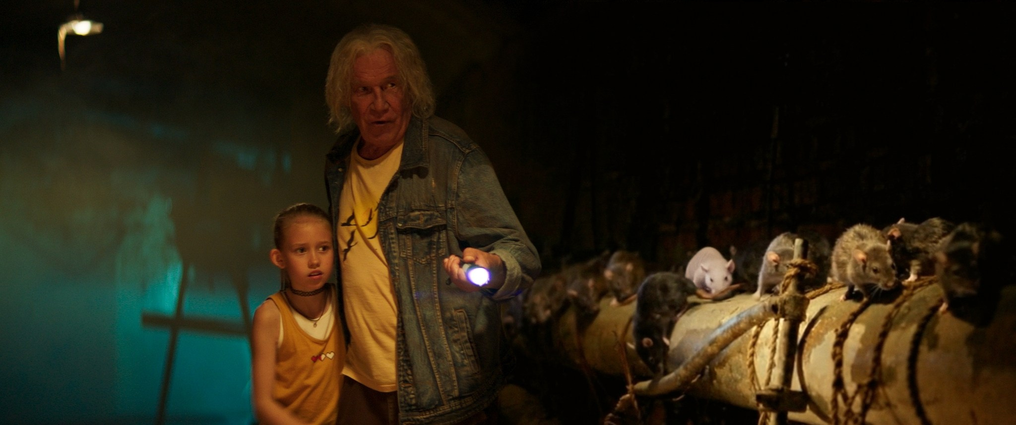 Doctor Gaf | Film. Ilia Ivanov