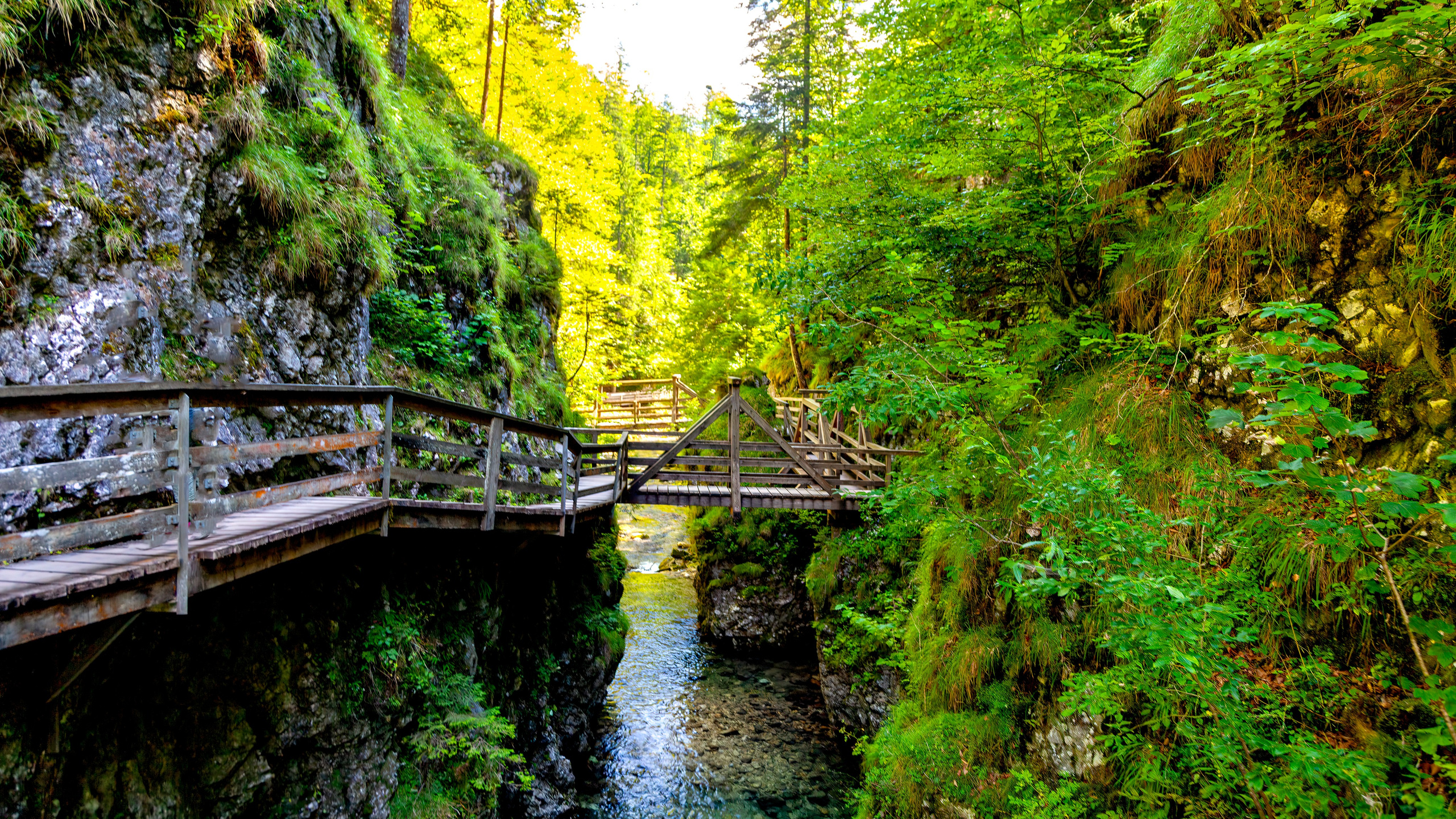 194.Mendlingtal.Austria.19.8.2025. Путешествия в формате 360......