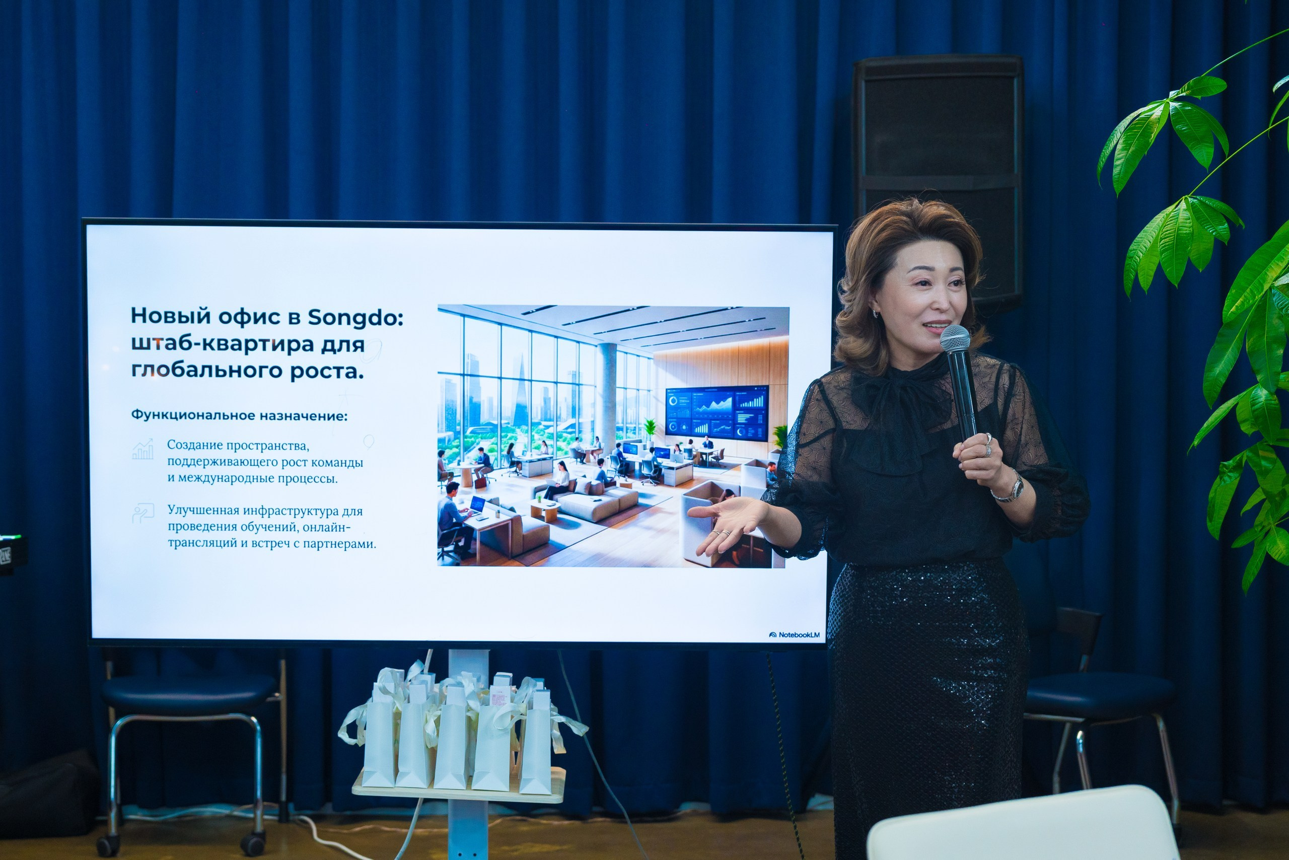 NADYON/ New Year 2026. Narnia Decor Studio