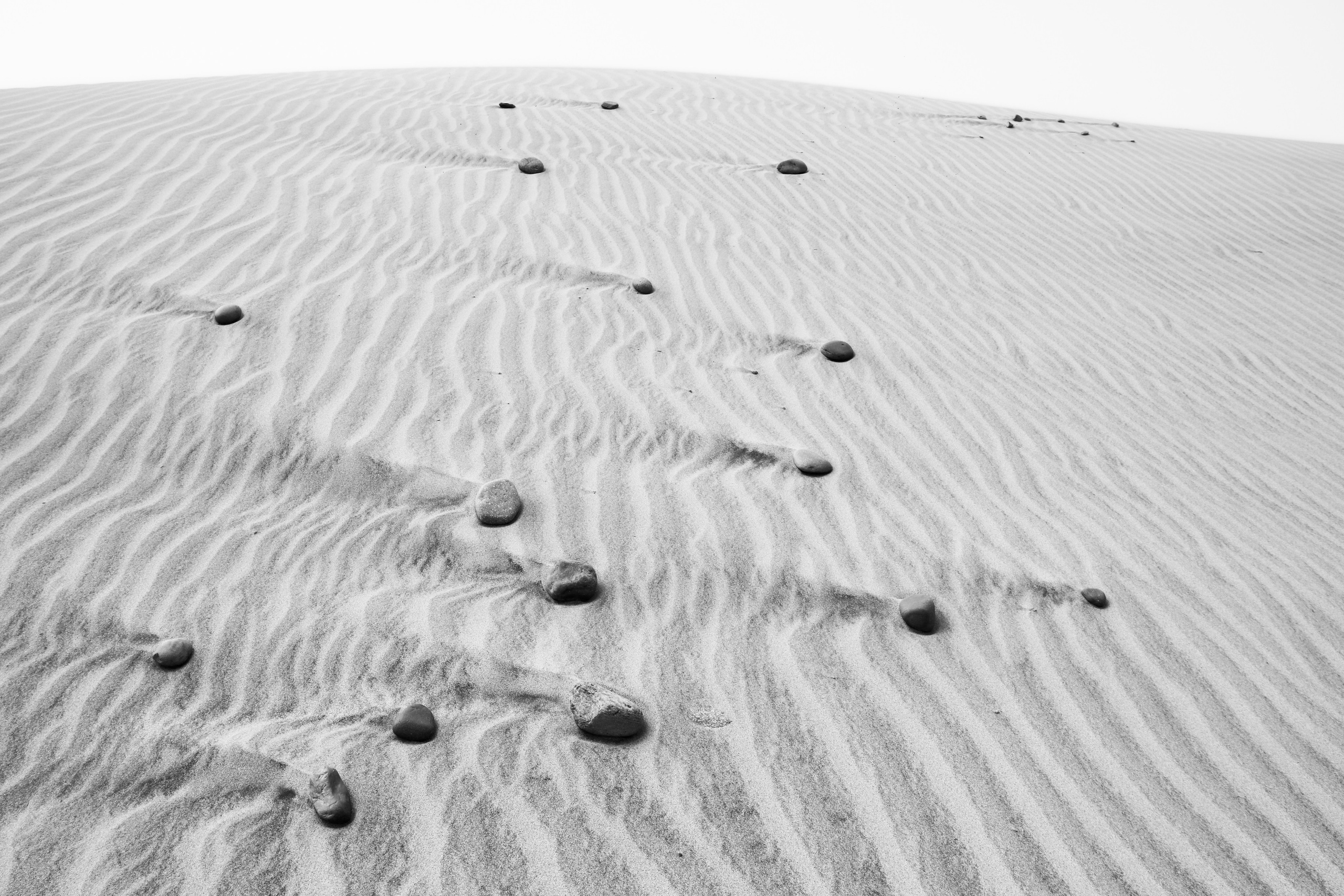 Photographer Marina, city of Nuremberg