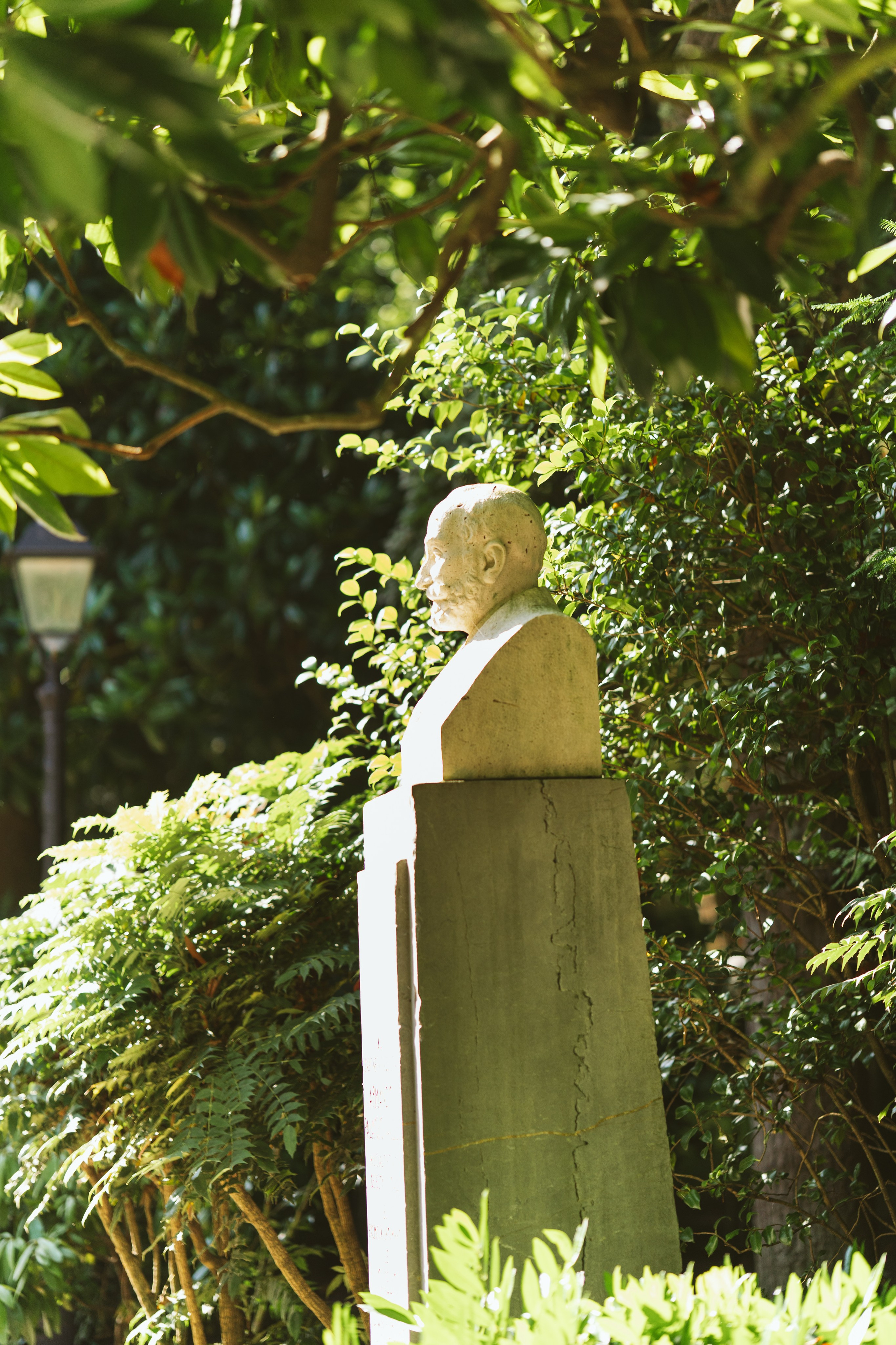 Алёна. Family photographer in Oviedo — Yana Razina