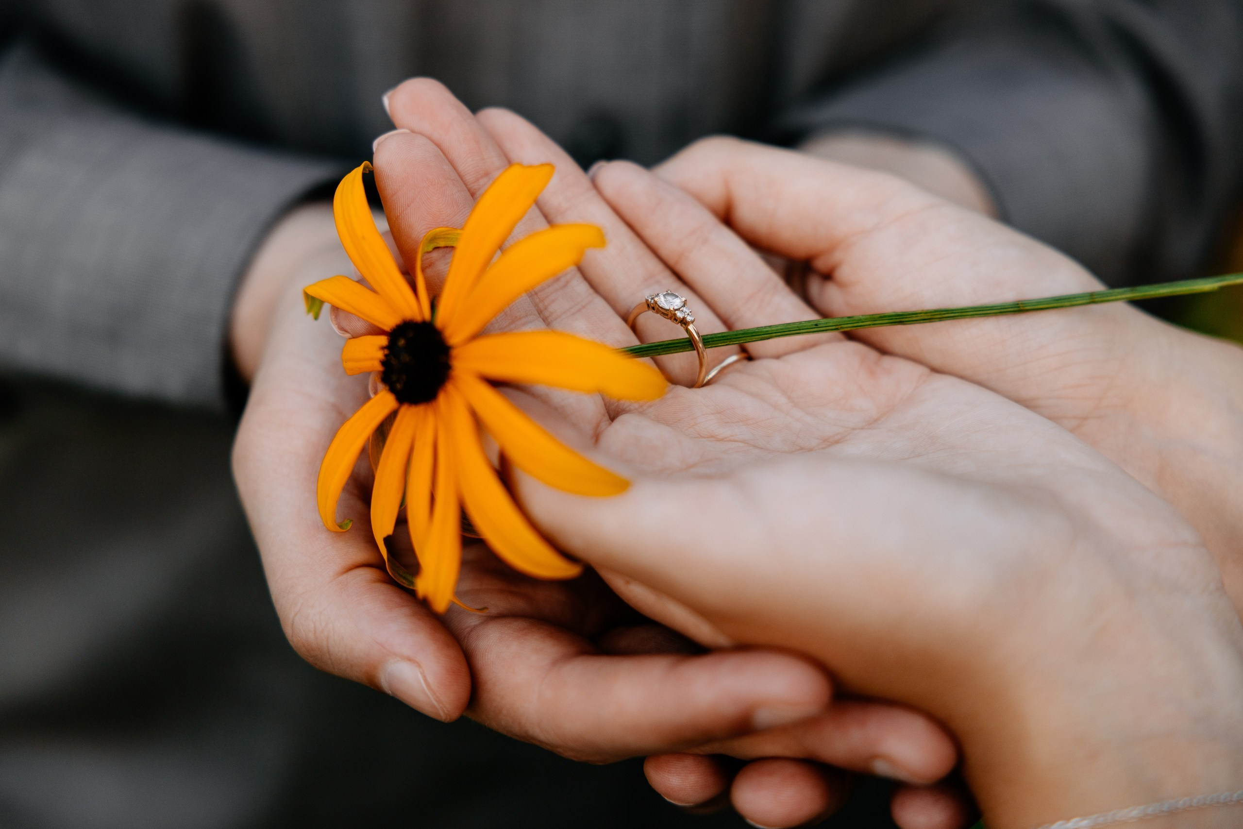 Kamila ♡ Filip. Fotograf Ślubny Warszawa - Sesje Biznesowe Rodzinne Eventy