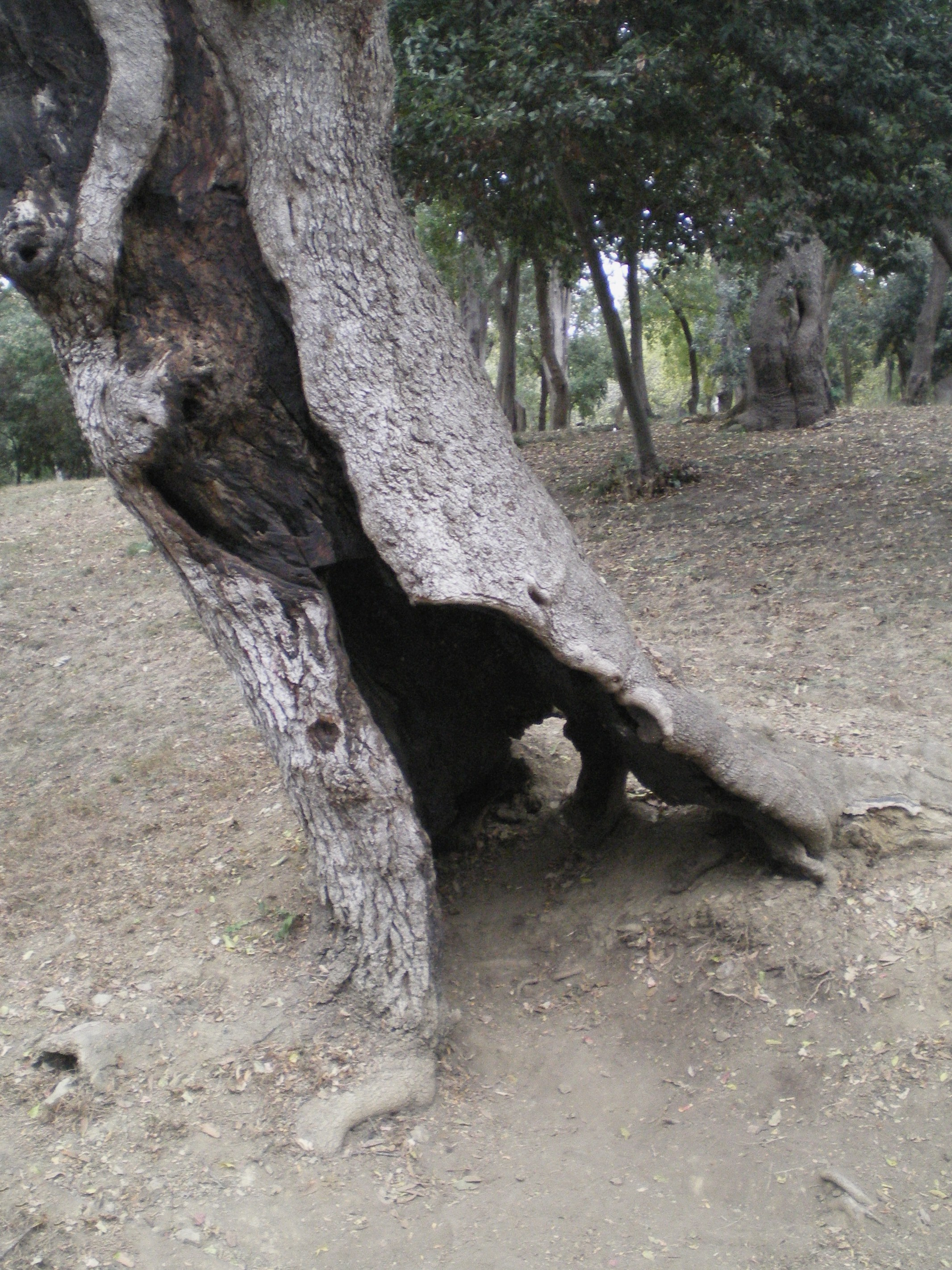 Ode to istanbul. Daria Sukhikh | Photography