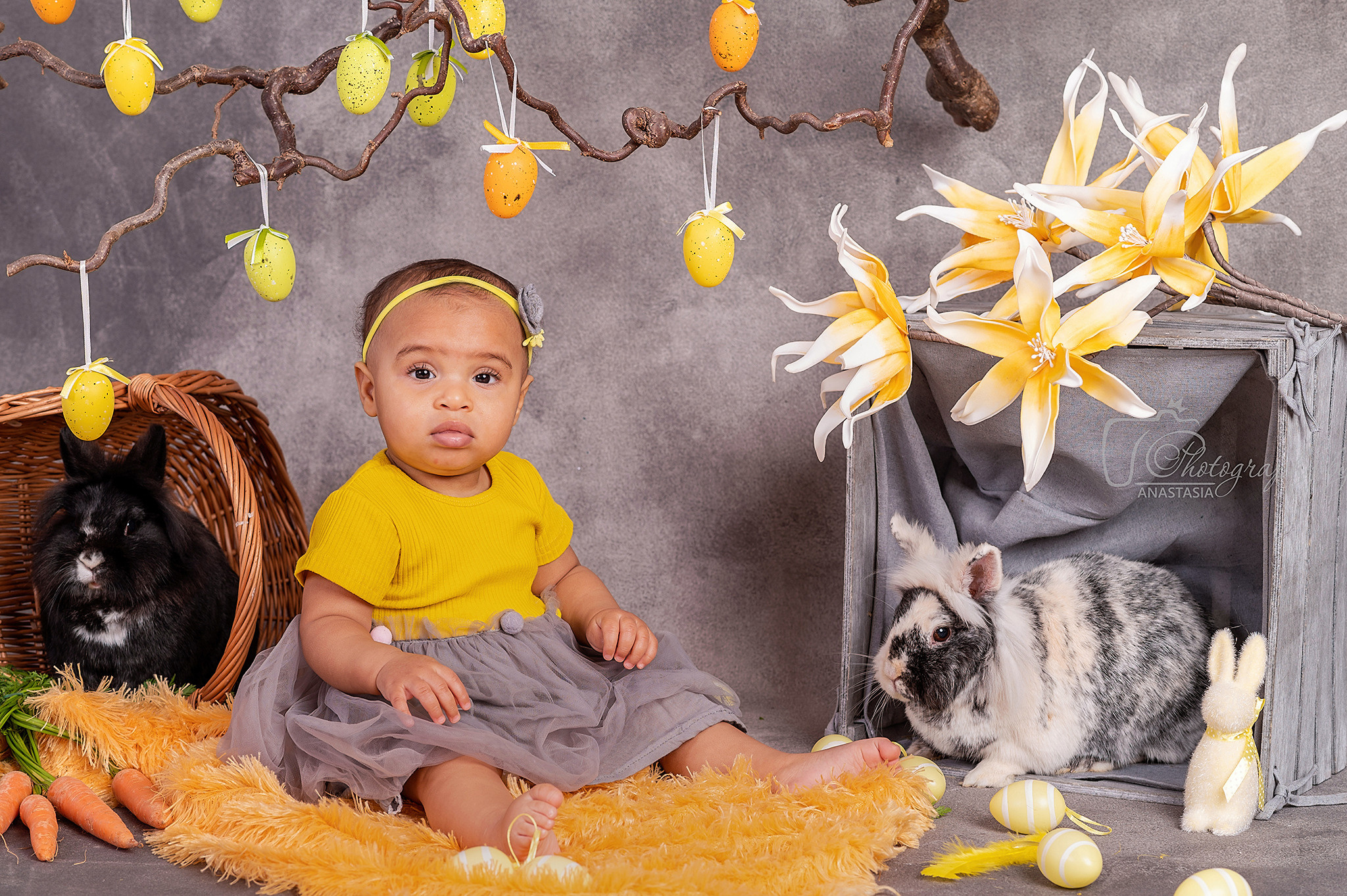 Newbornfotograf Neu-Ulm, Babyfotograf Neu-Ulm, Familienfotograf Neu-Ul. Newbornfotograf Kinderfotograf Ulm Familienfotograf Anastasia Neu-Ulm