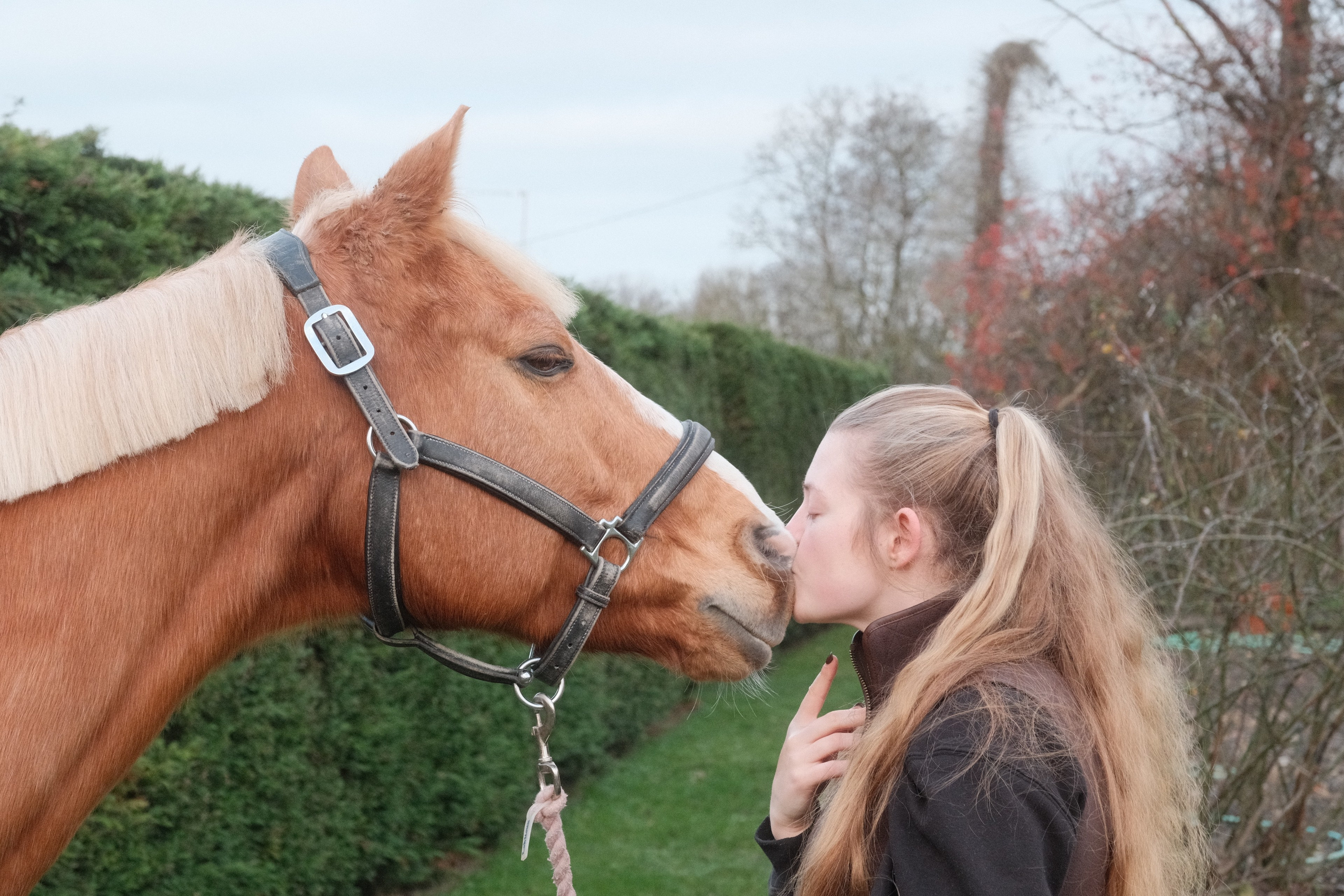 Portrait photography with Fudge the horse. Cal Takes Photos