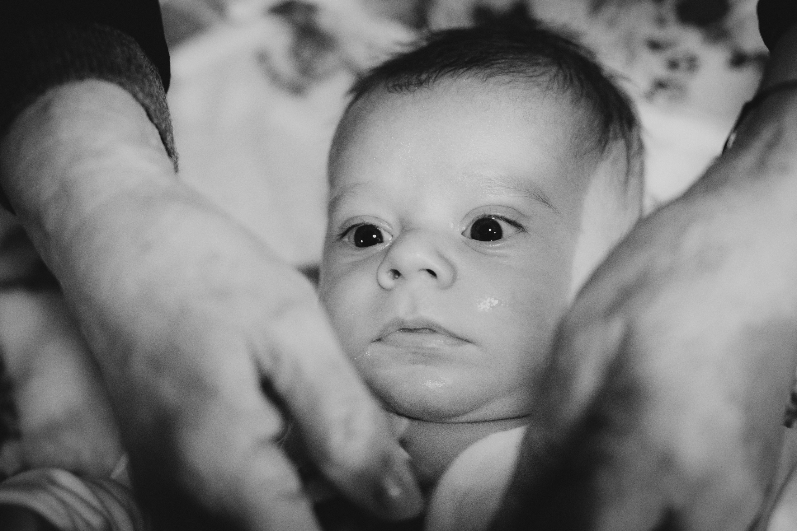 David Gabriel. Fotograf de evenimente, nunta, botez, portrete - FotoStudio