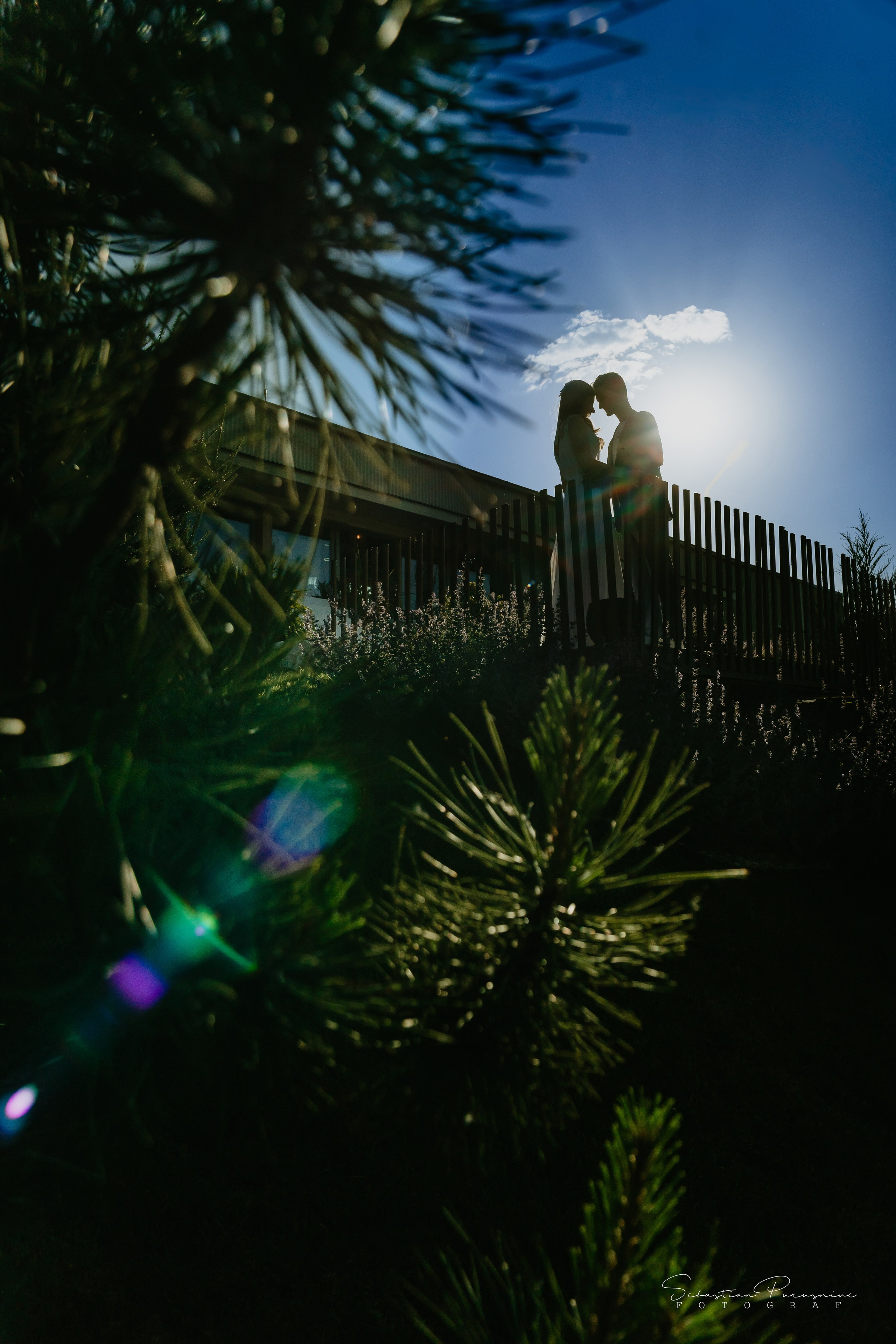 Adelina & Angel. Sebastian Purusniuc Fotograf - Iasi