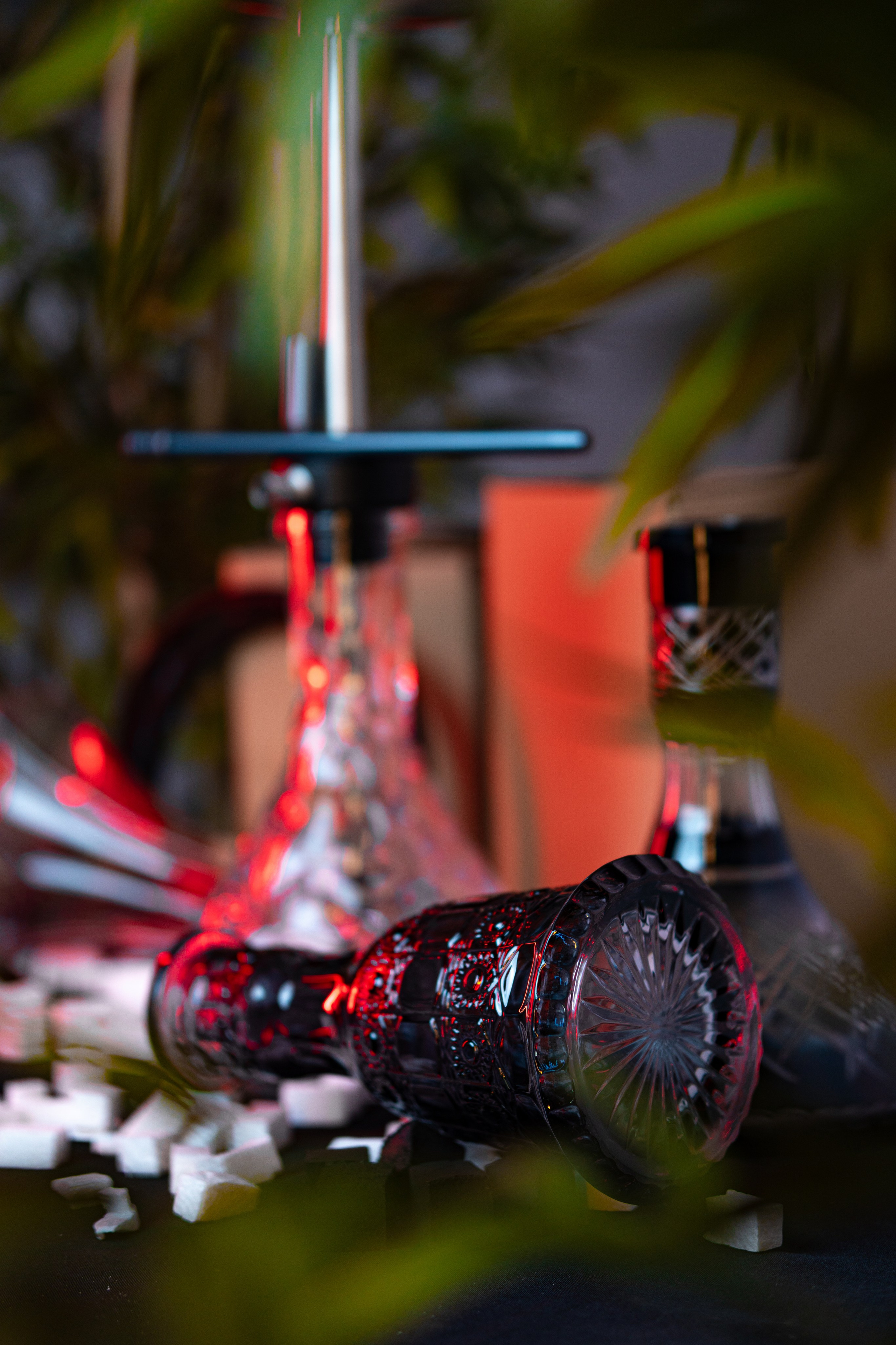 Cachimbas. Baby Beast