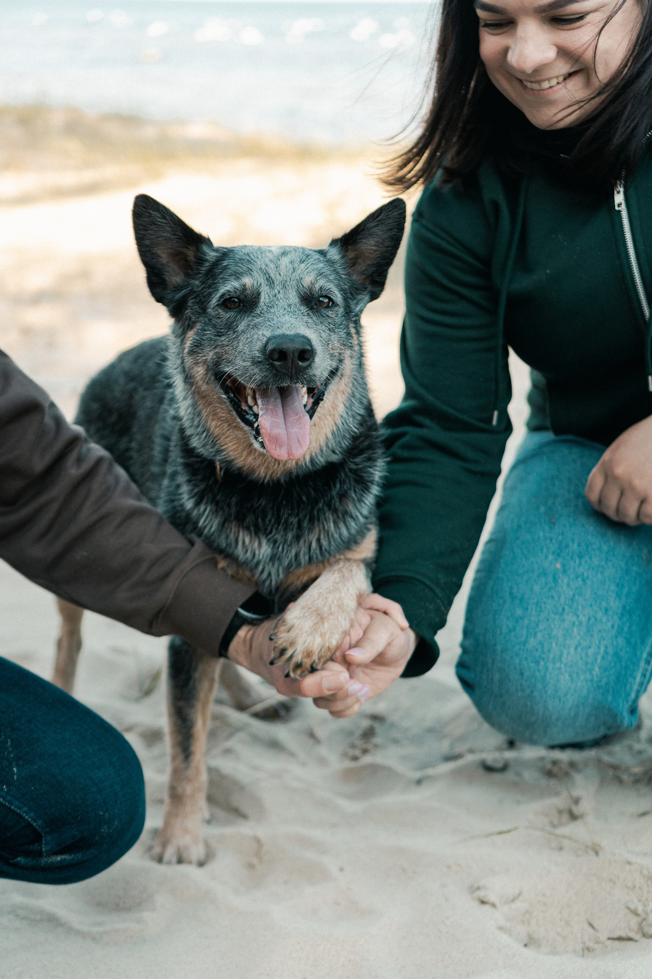 Oskar, Maria & Dmitrii. Kat Laisaar — Pet photographer in Tallinn
