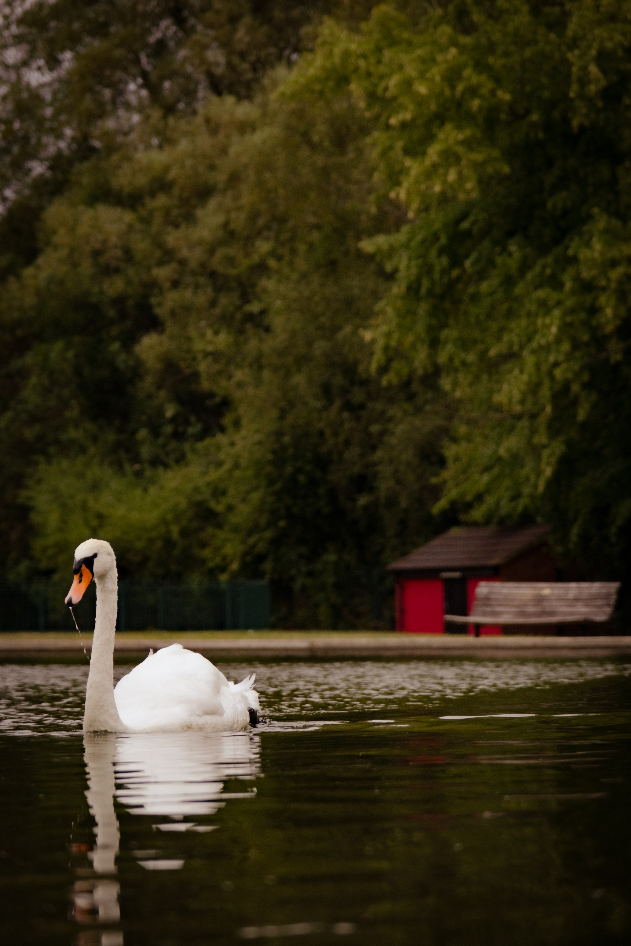 Newbury, Berkshire