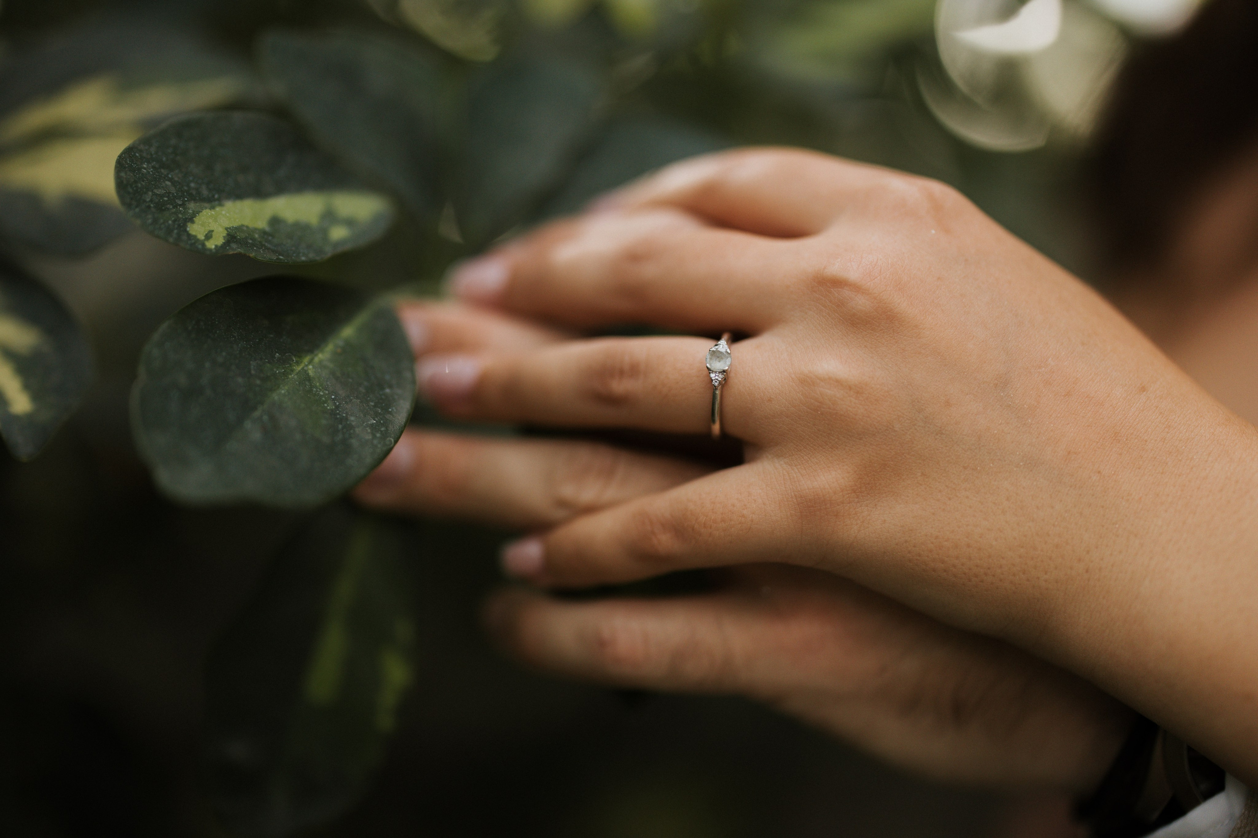 Photography. Alexandar weddings: Home