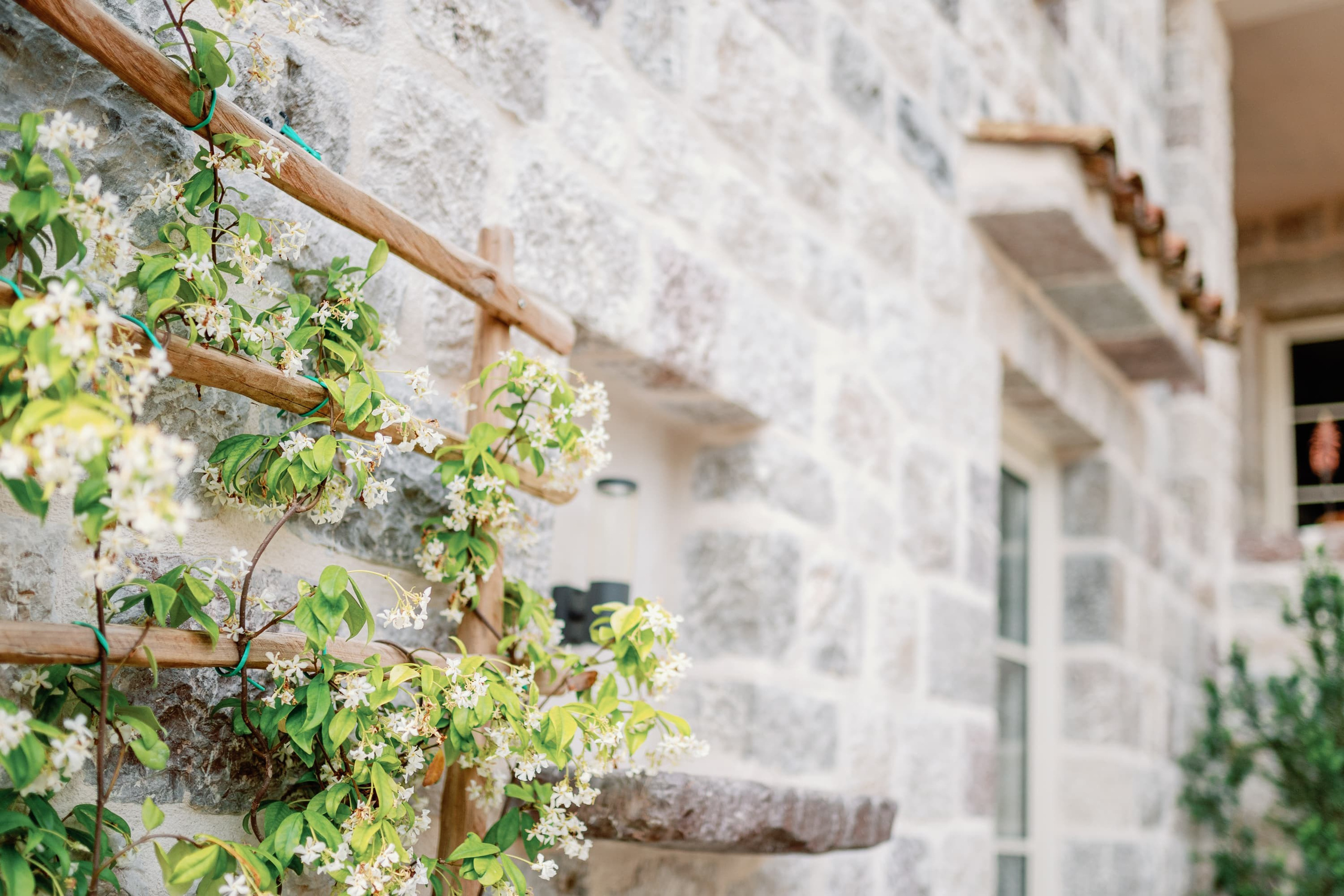 Real Estate Photography. Montenegro. EVAN ARISTOV WEDDING PHOTOGRAPHY — Seattle Wedding Photographer