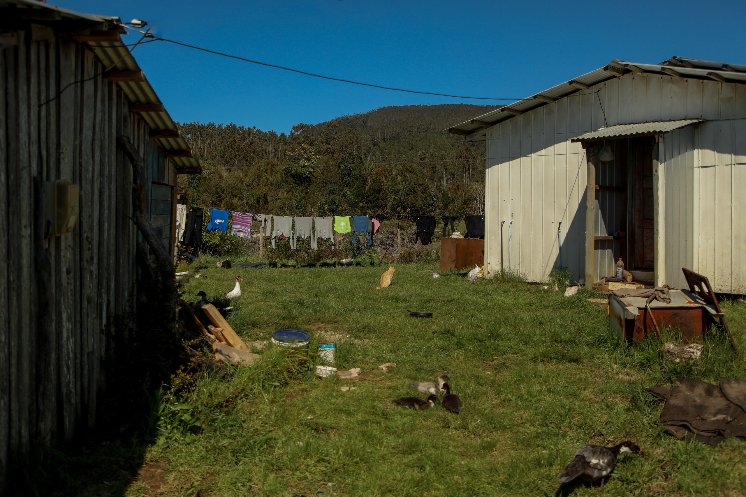 PATAGONIE. Photographe Karen Tatevosian