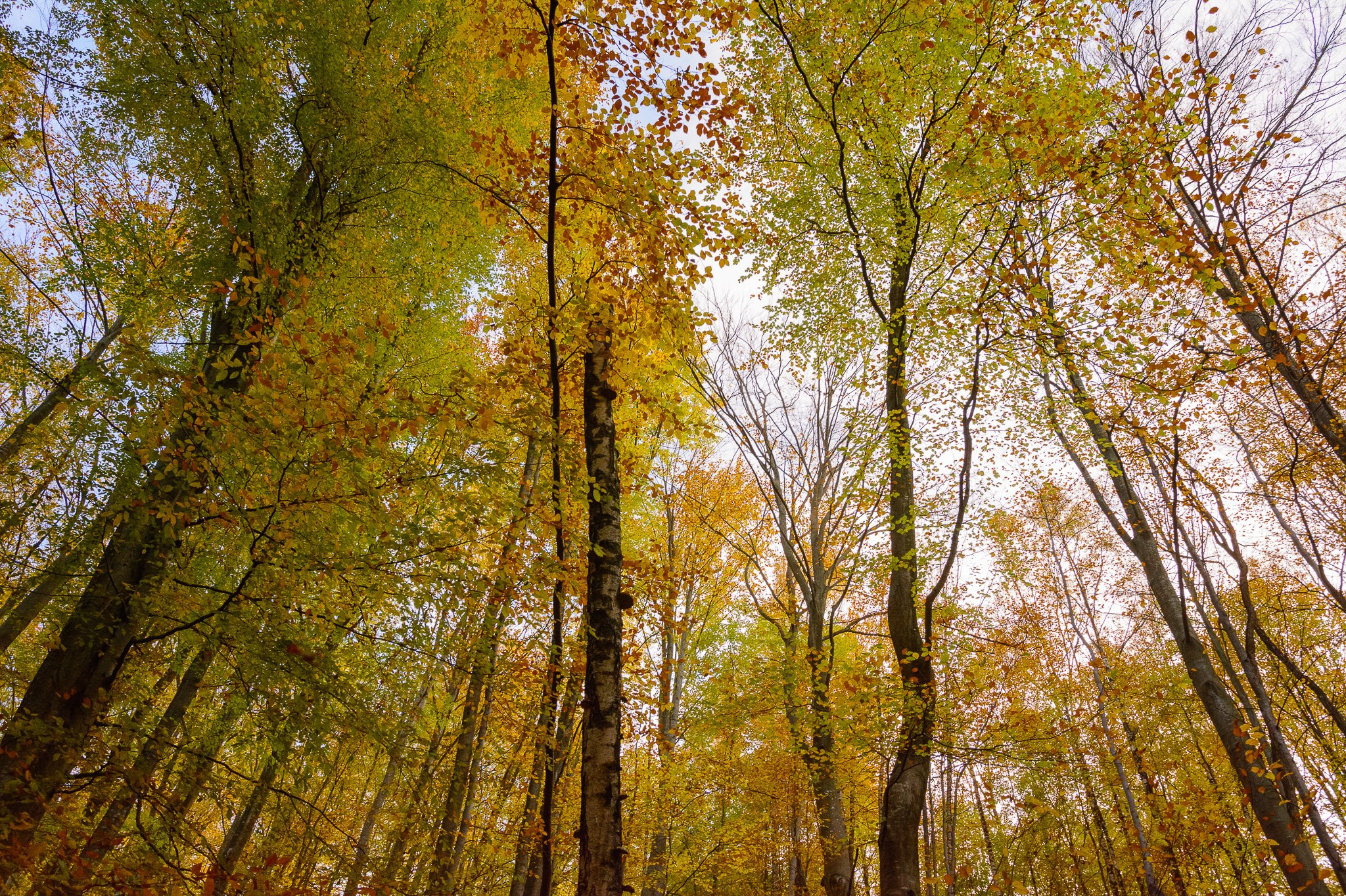 ~Peisaje~. Andreea Ivan art-Fotograf Constanta, Fotograf profesionist Constanta, Fotograf de nunta Constanta, botez, sedinte foto cu tematica, portret