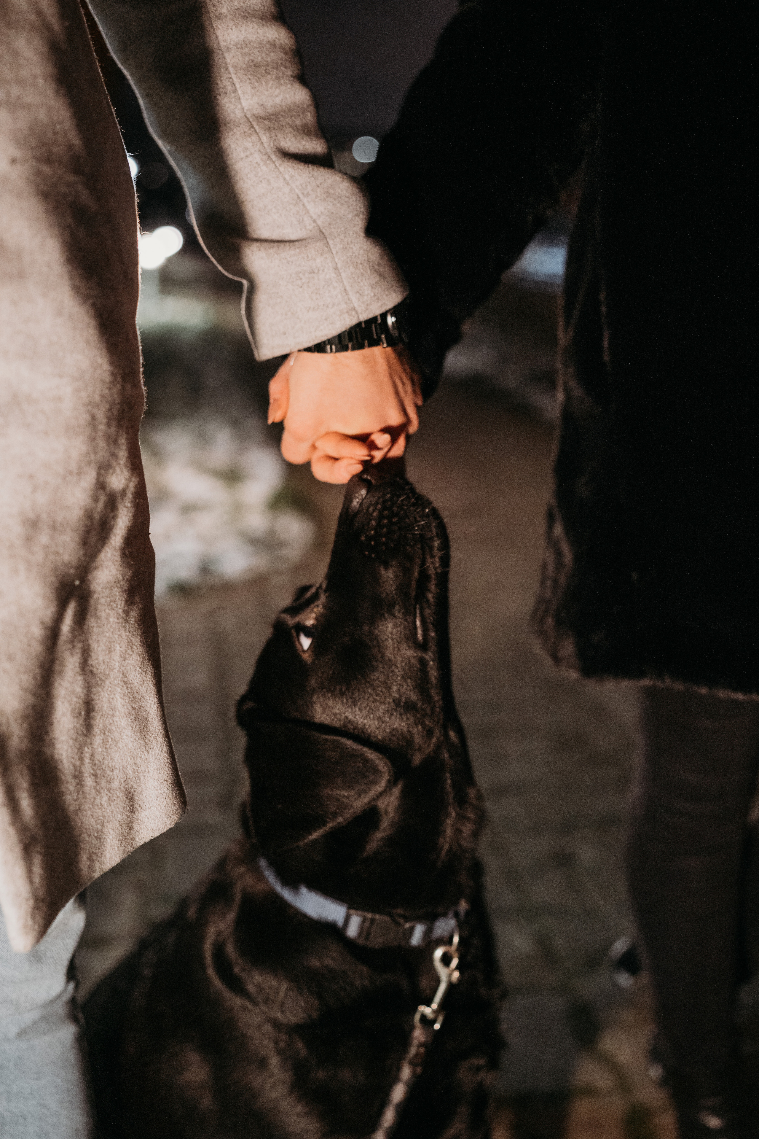 Катя и Саша. Фотограф новорожденных и детей первого года Евгения Михалькевич