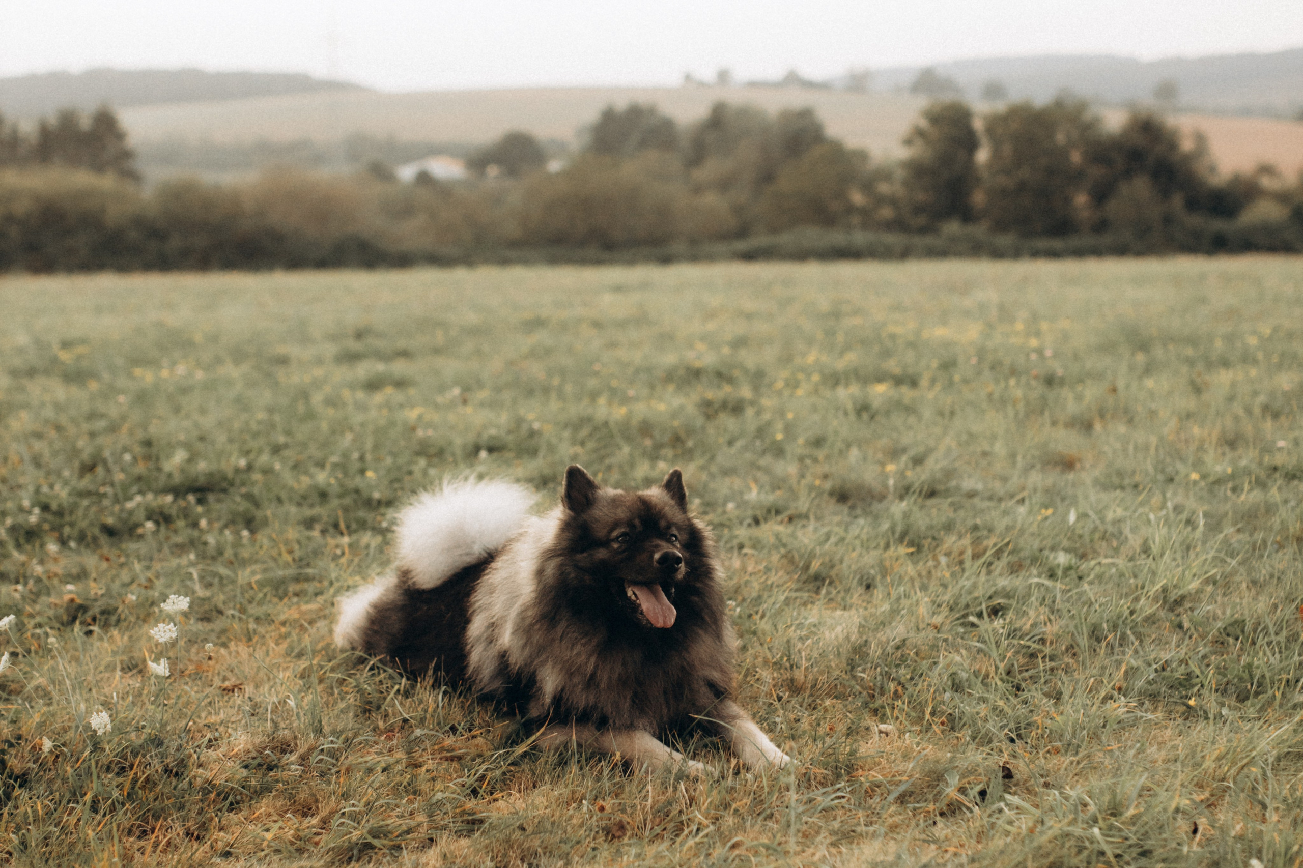 Familie ist alles. Julia Sööt Fotografie