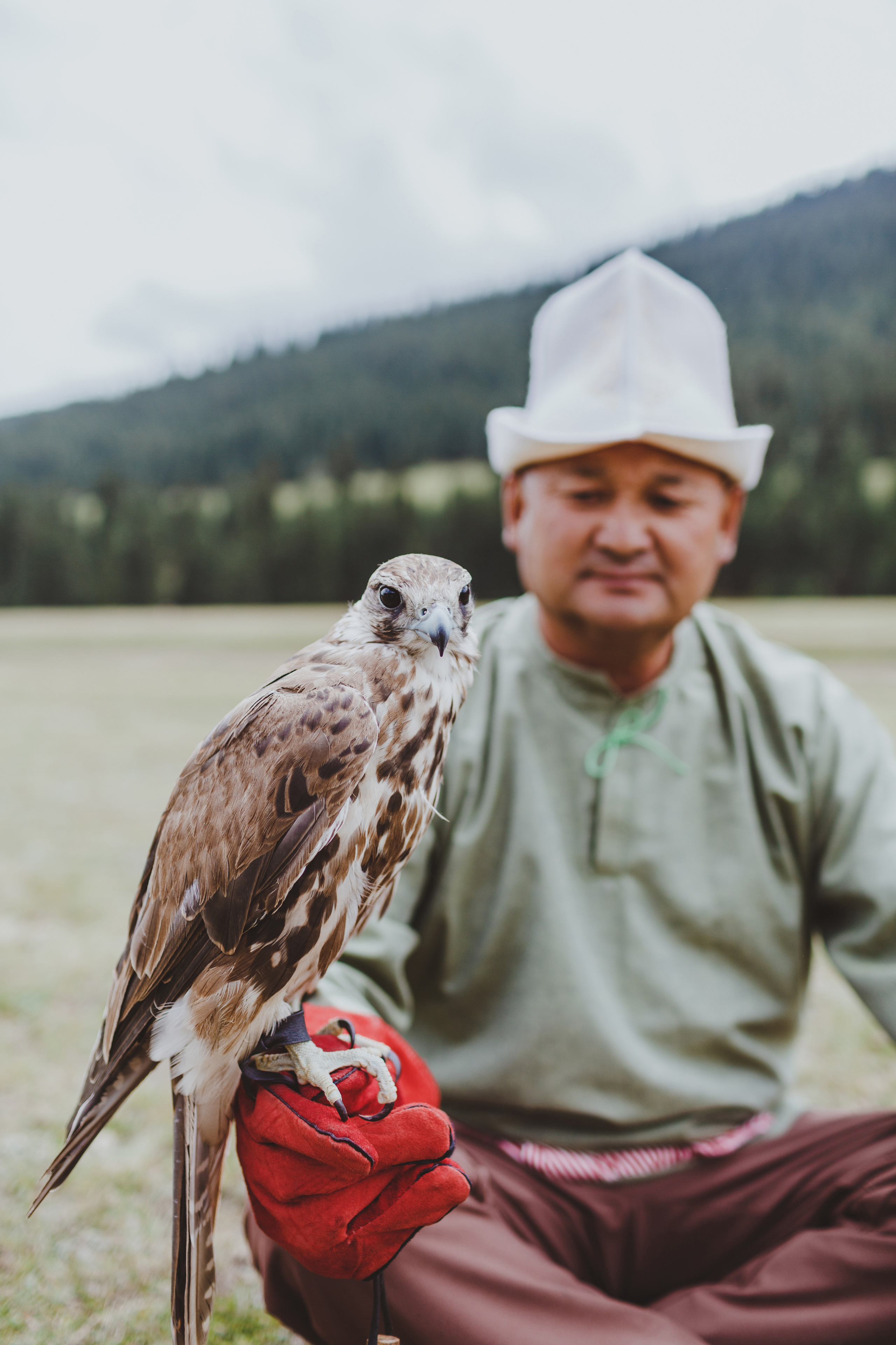 Проект Мир Кочевников. Победитель Wedding Awards 2018. Фотограф в Бишкеке Оксана Шувалова