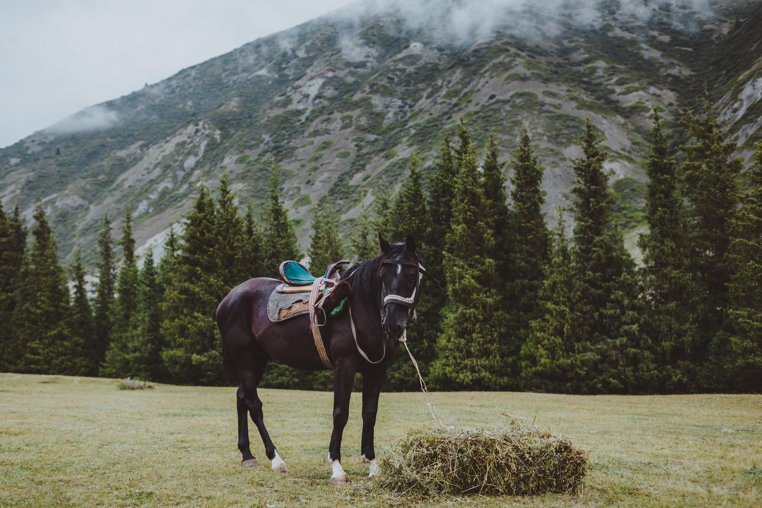 Проект Мир Кочевников. Победитель Wedding Awards 2018. Фотограф в Бишкеке Оксана Шувалова