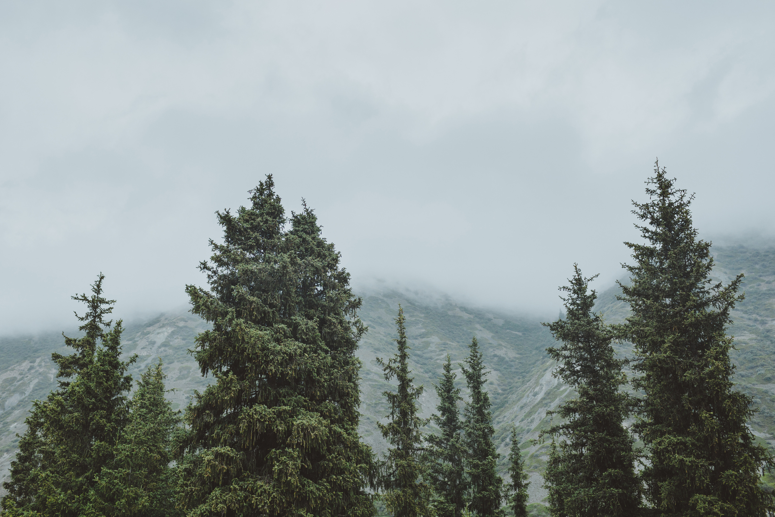 Проект Мир Кочевников. Победитель Wedding Awards 2018. Фотограф в Бишкеке Оксана Шувалова