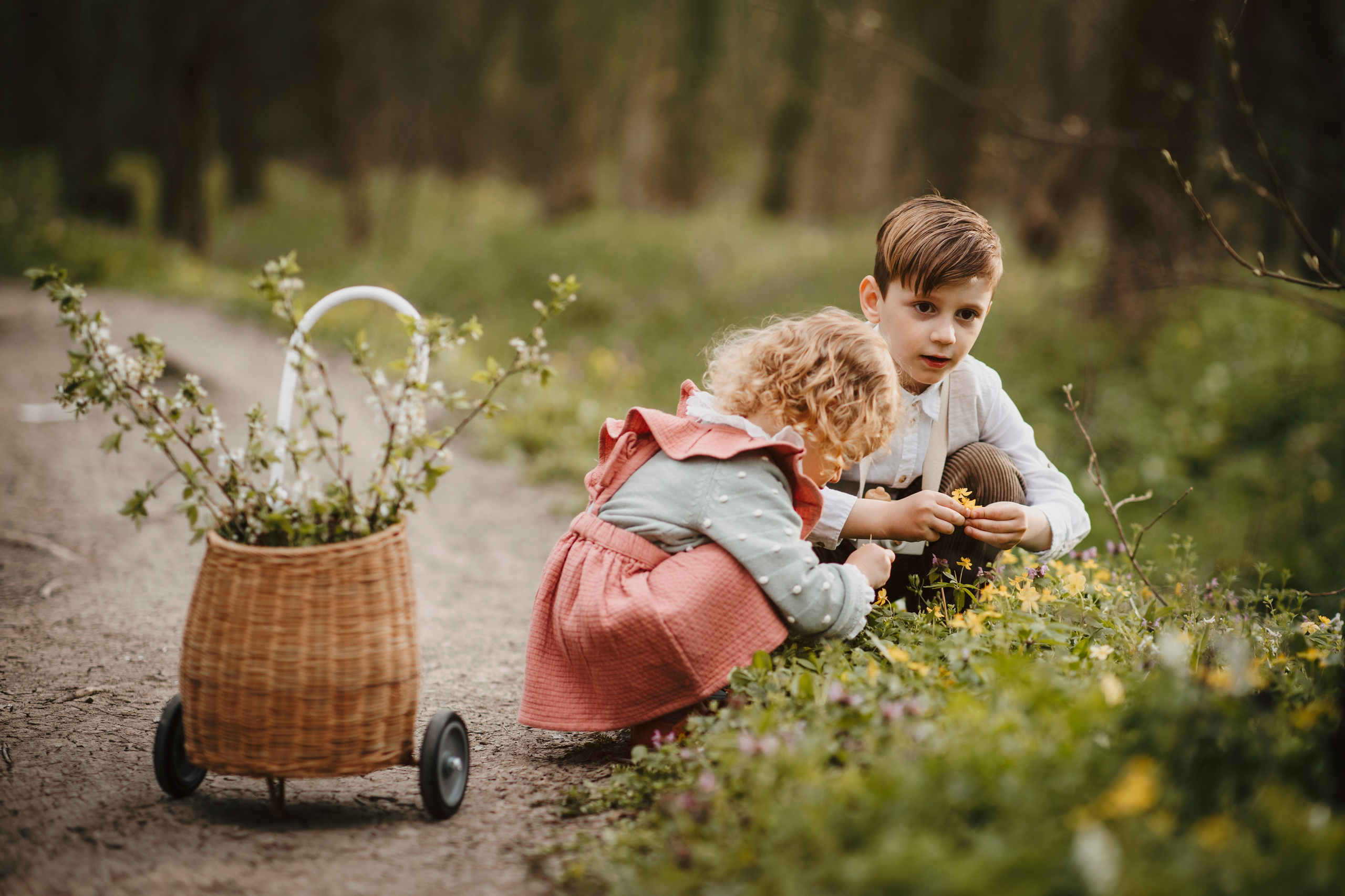 Sofia & Darius. Fotograf de eveniment din Buzău | Bogdan
