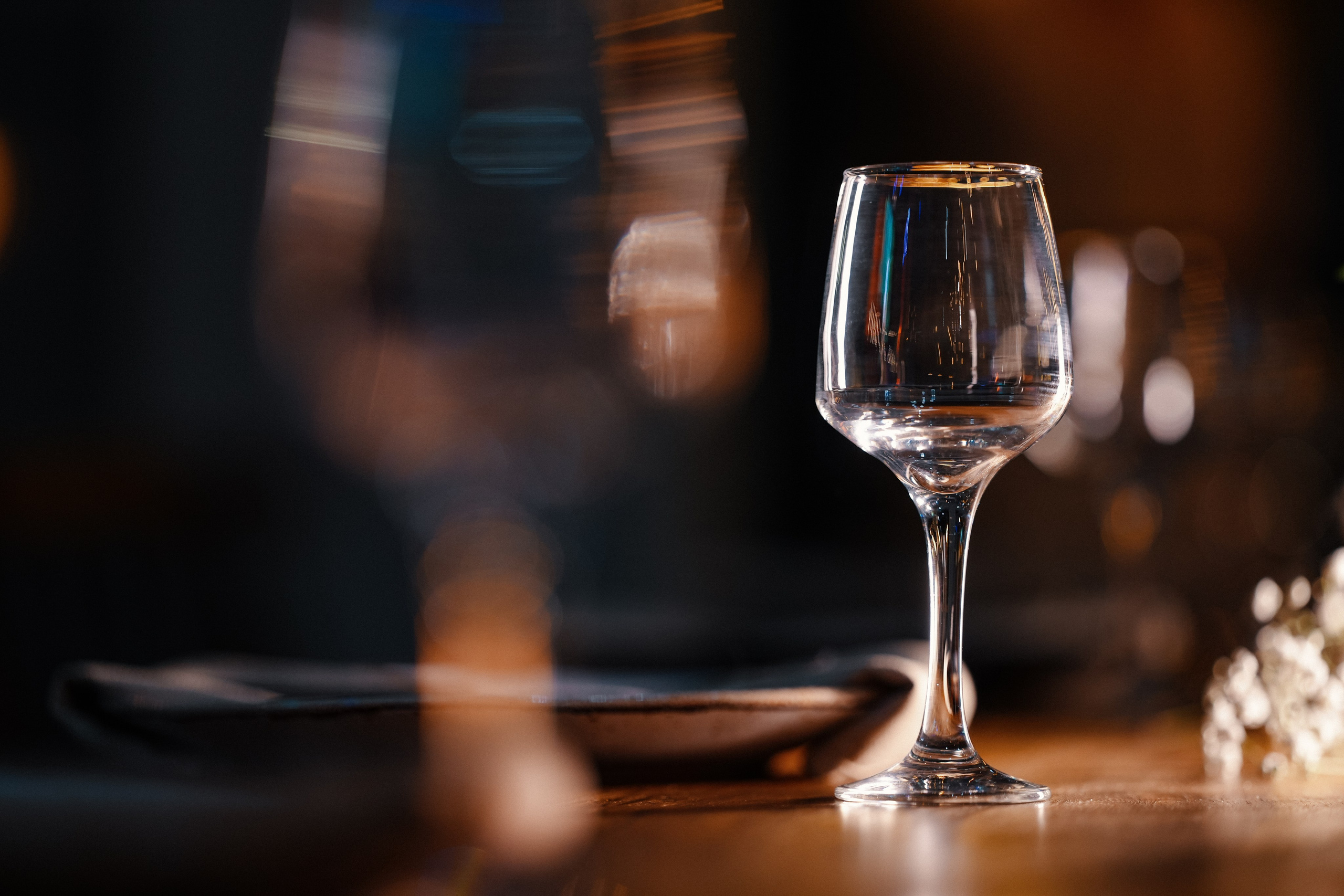 Ella and Pavel. Dmitry Gorodetsky Event Photographer