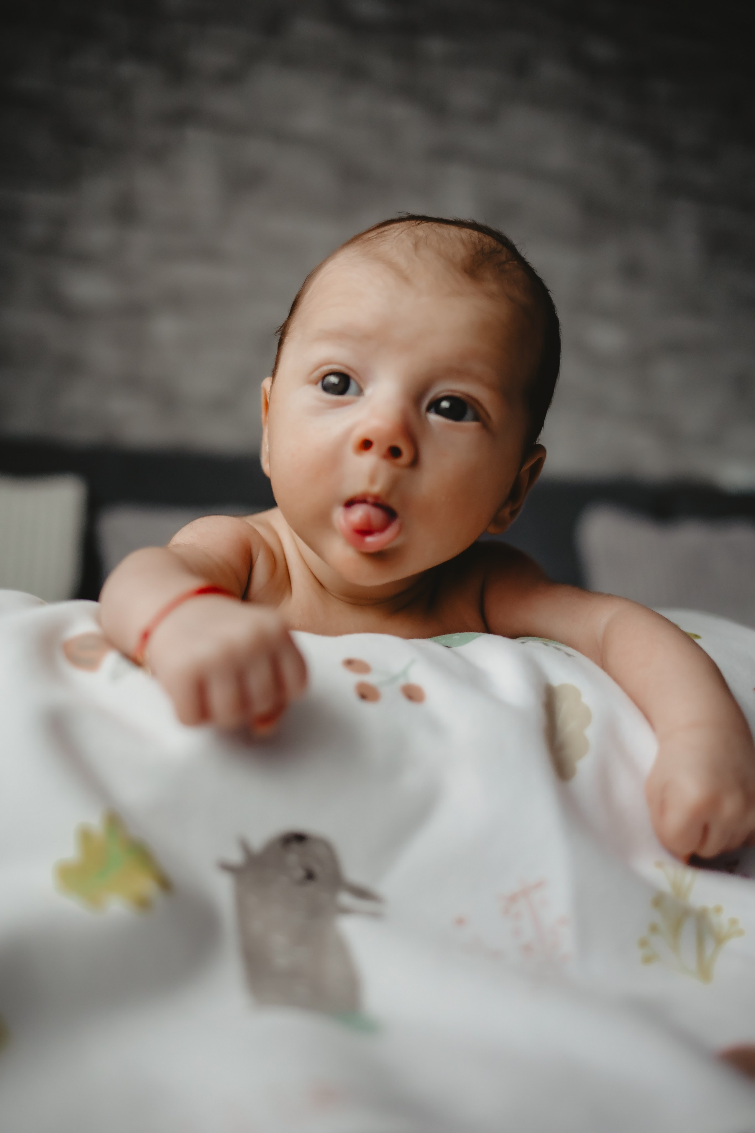 Bebe C. Home