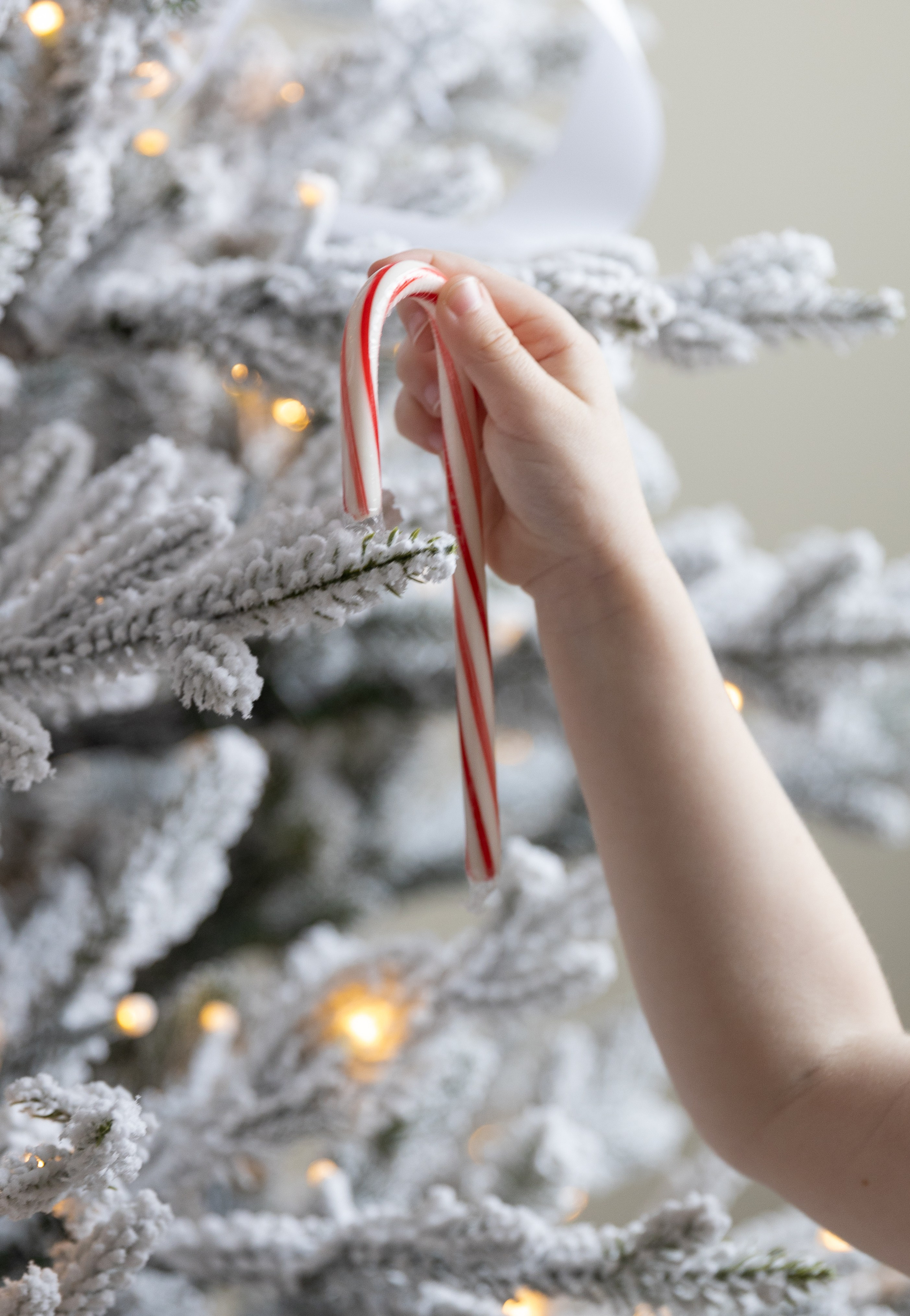 M| A. Family and Wedding photographer