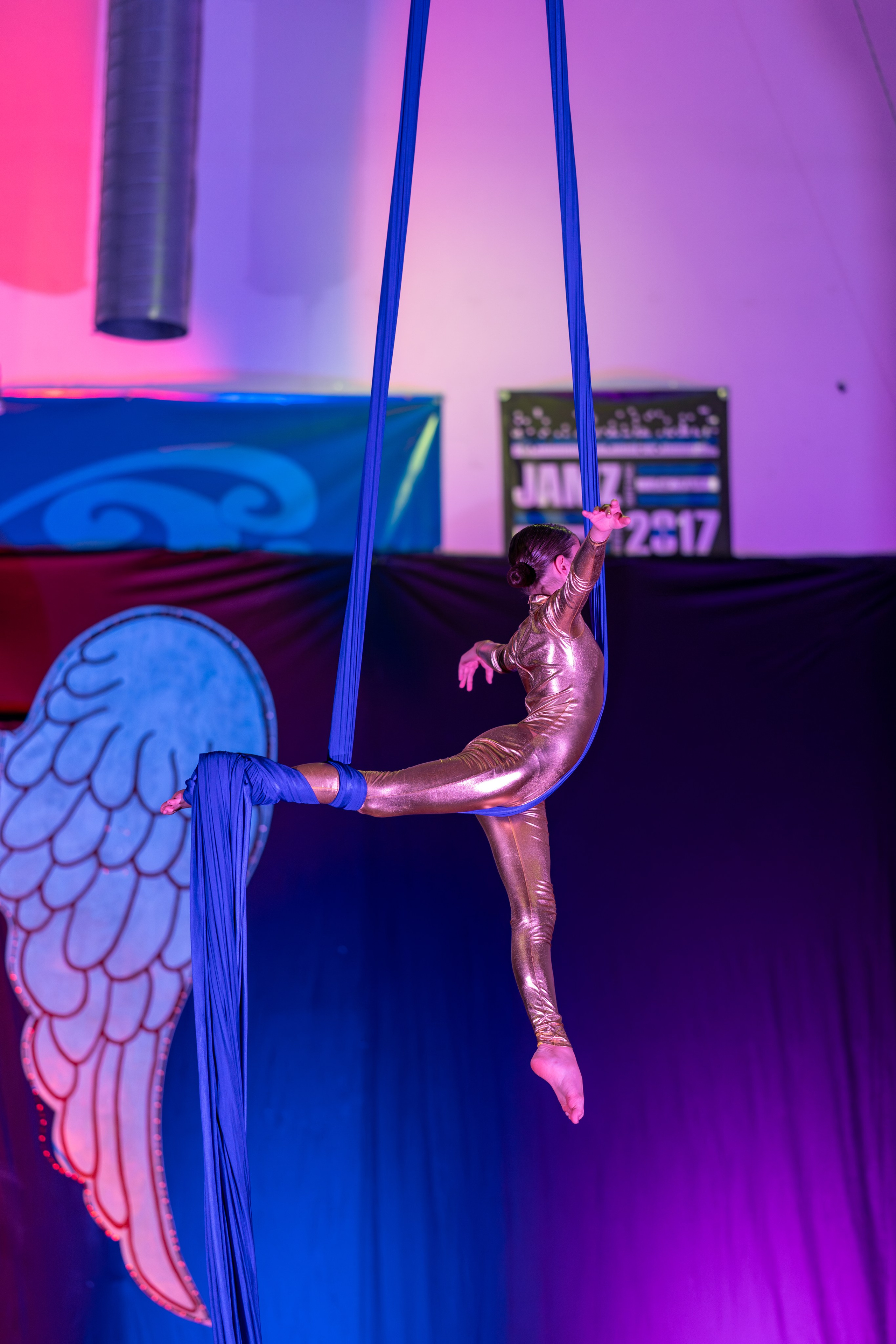 Gymnastic Photographer 